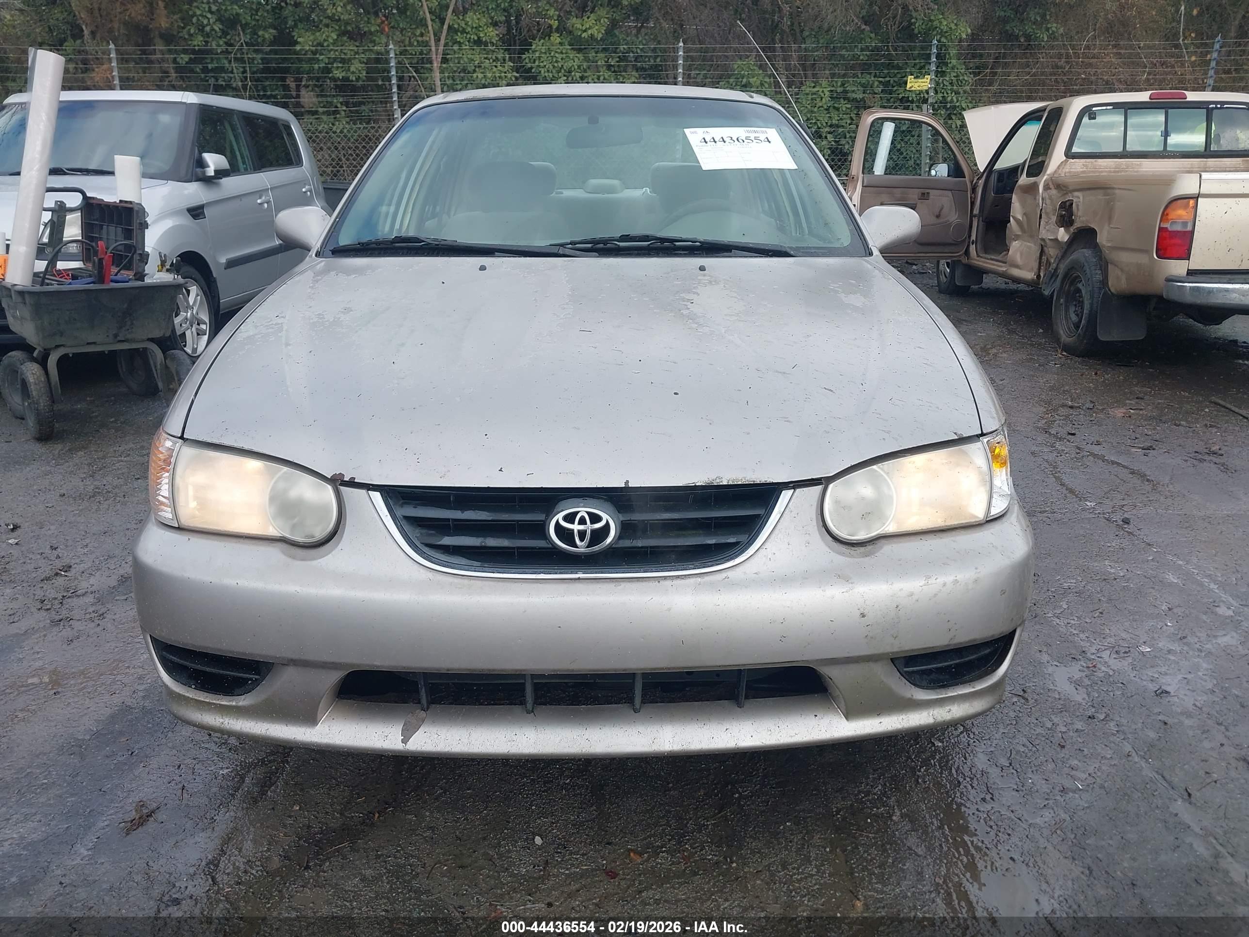 TOYOTA COROLLA image 6