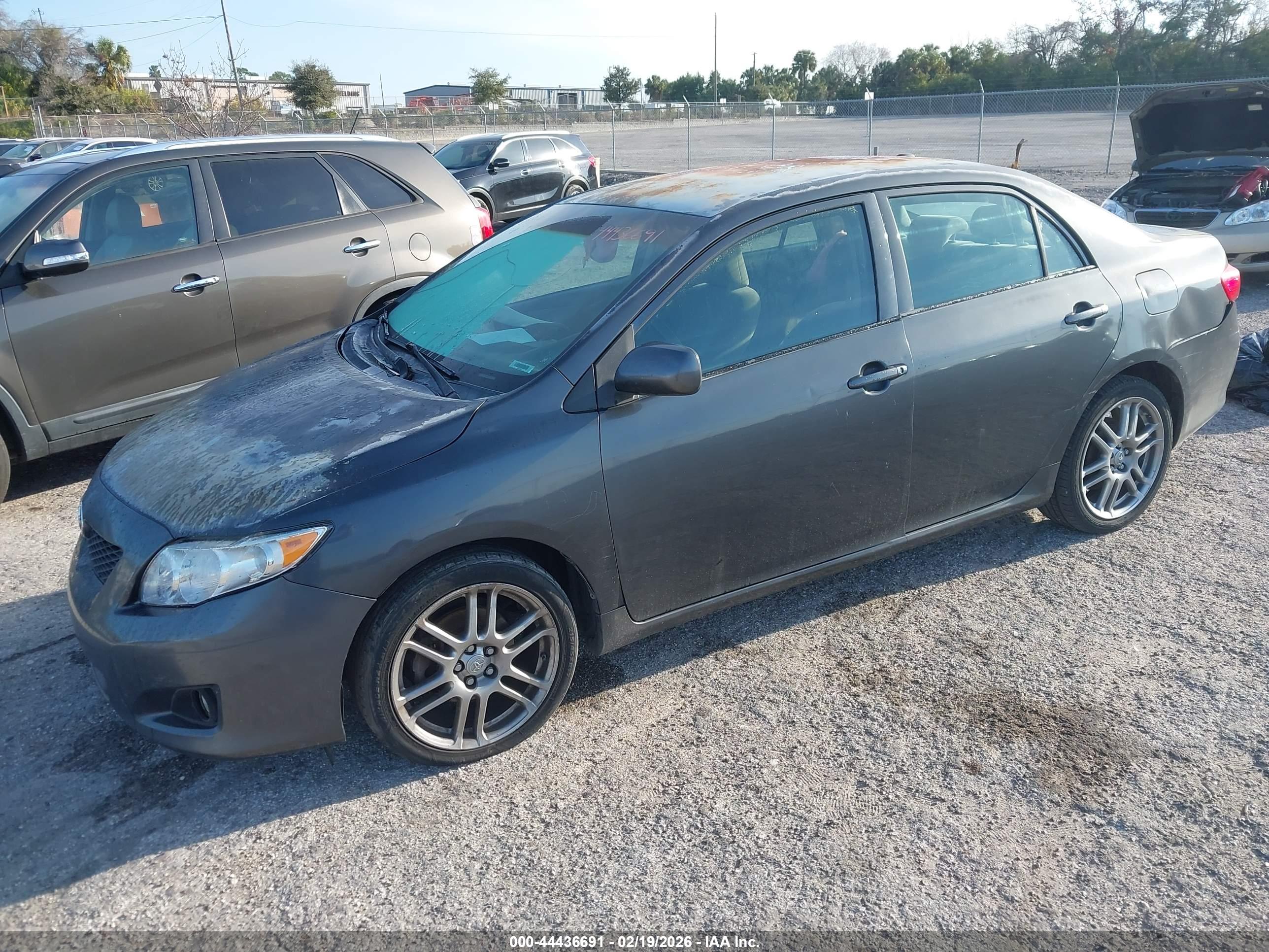 TOYOTA COROLLA image 2