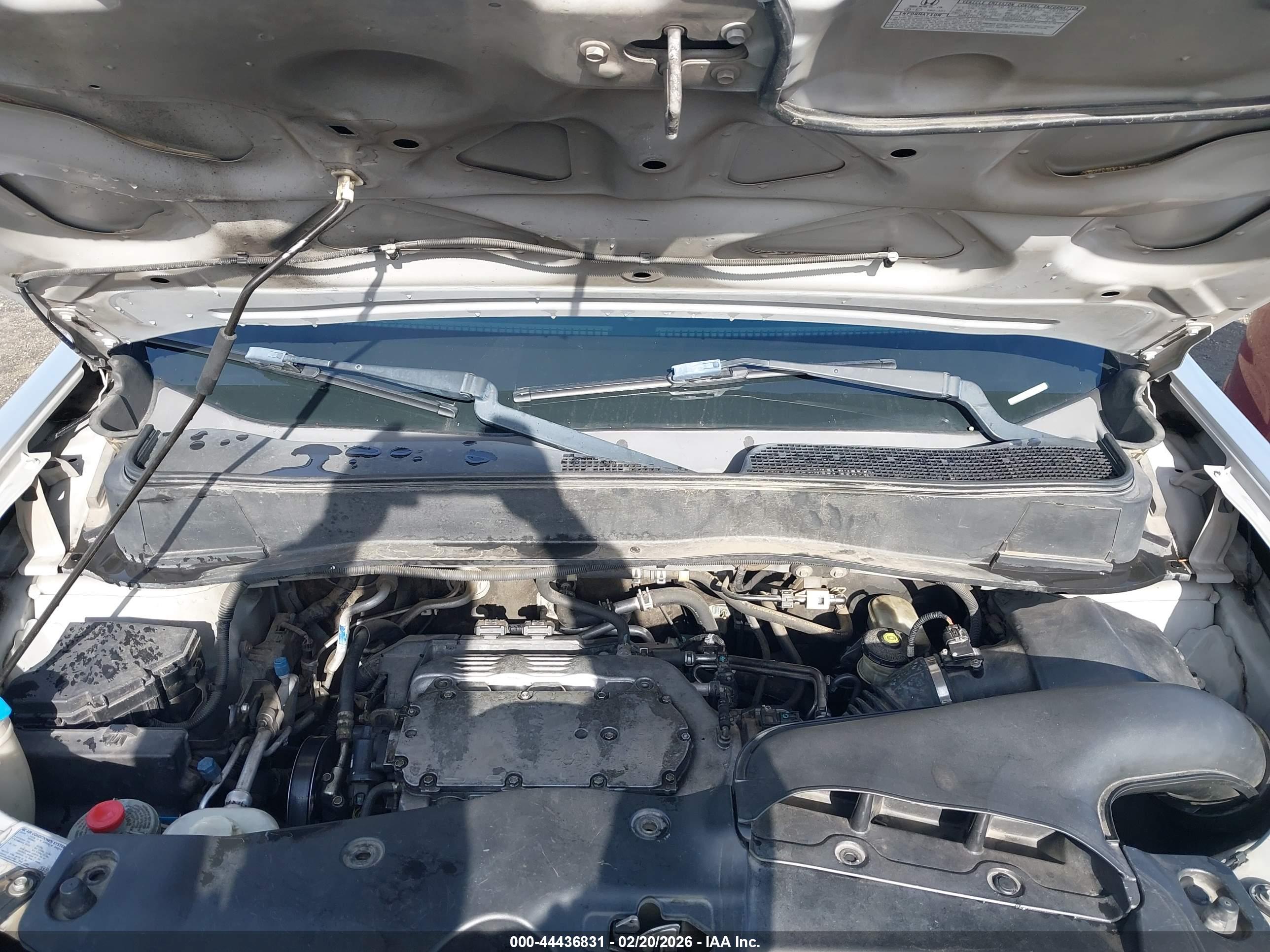 HONDA PILOT image 10