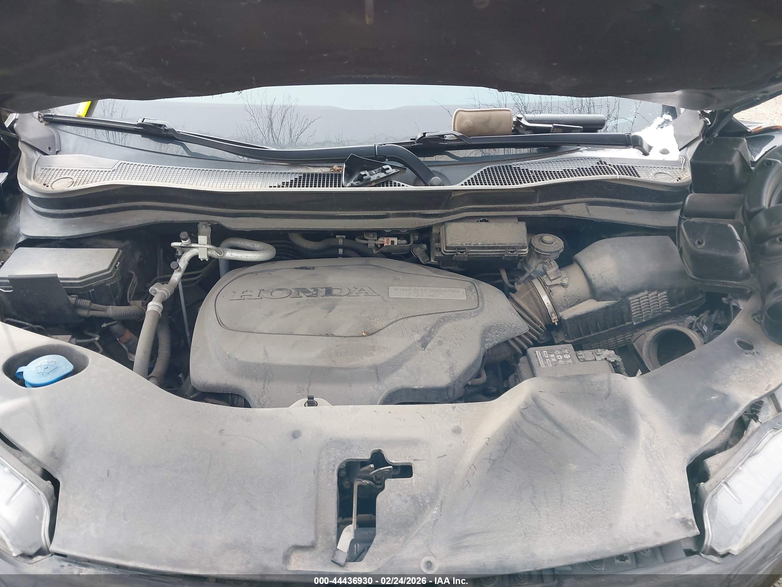 HONDA PASSPORT image 10