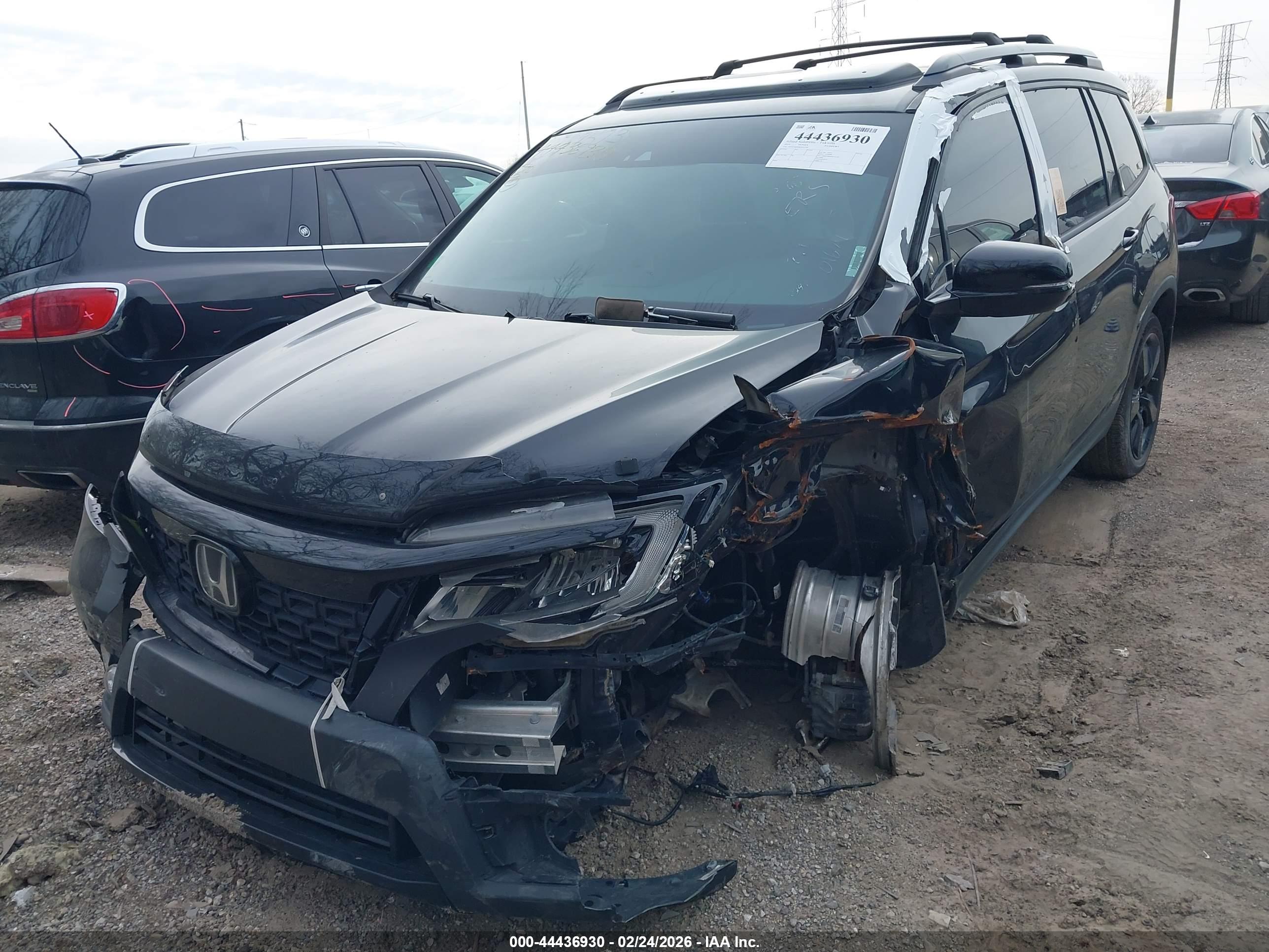 HONDA PASSPORT image 6
