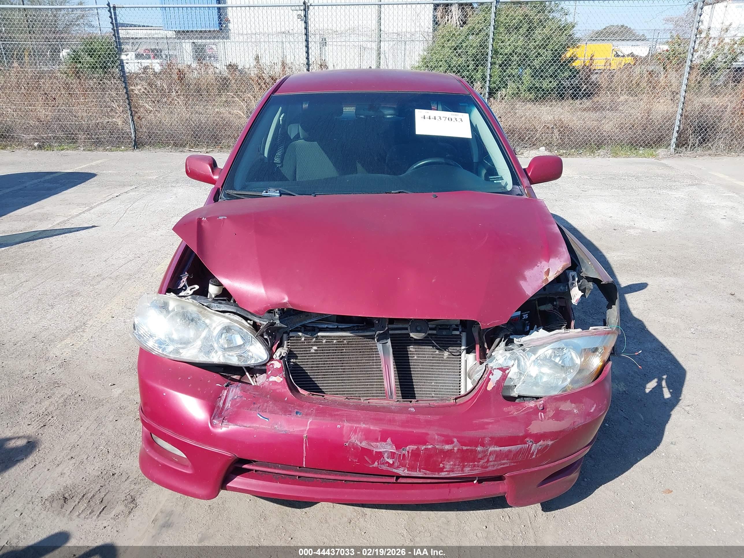 TOYOTA COROLLA image 6
