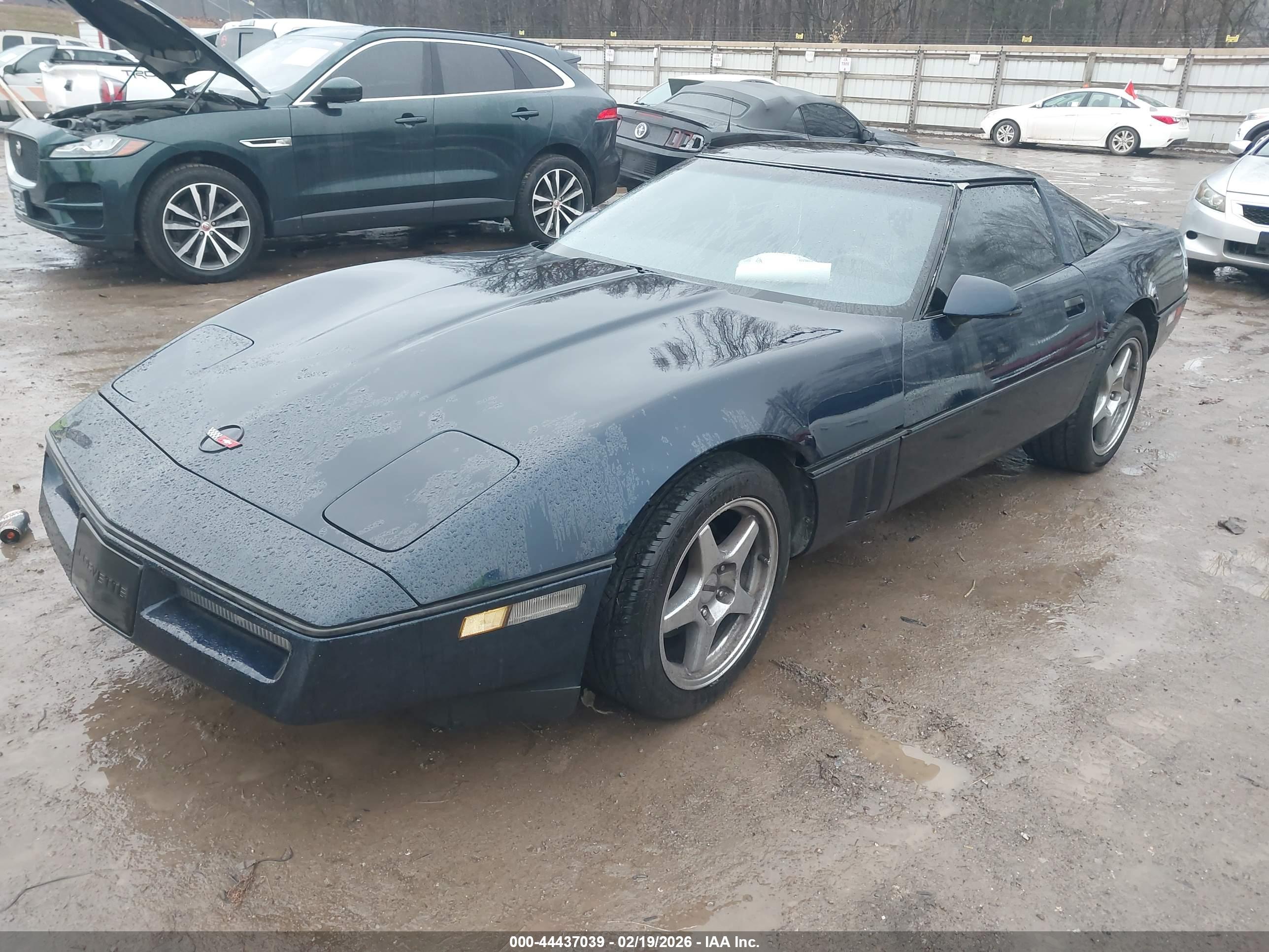 CHEVROLET CORVETTE image 2