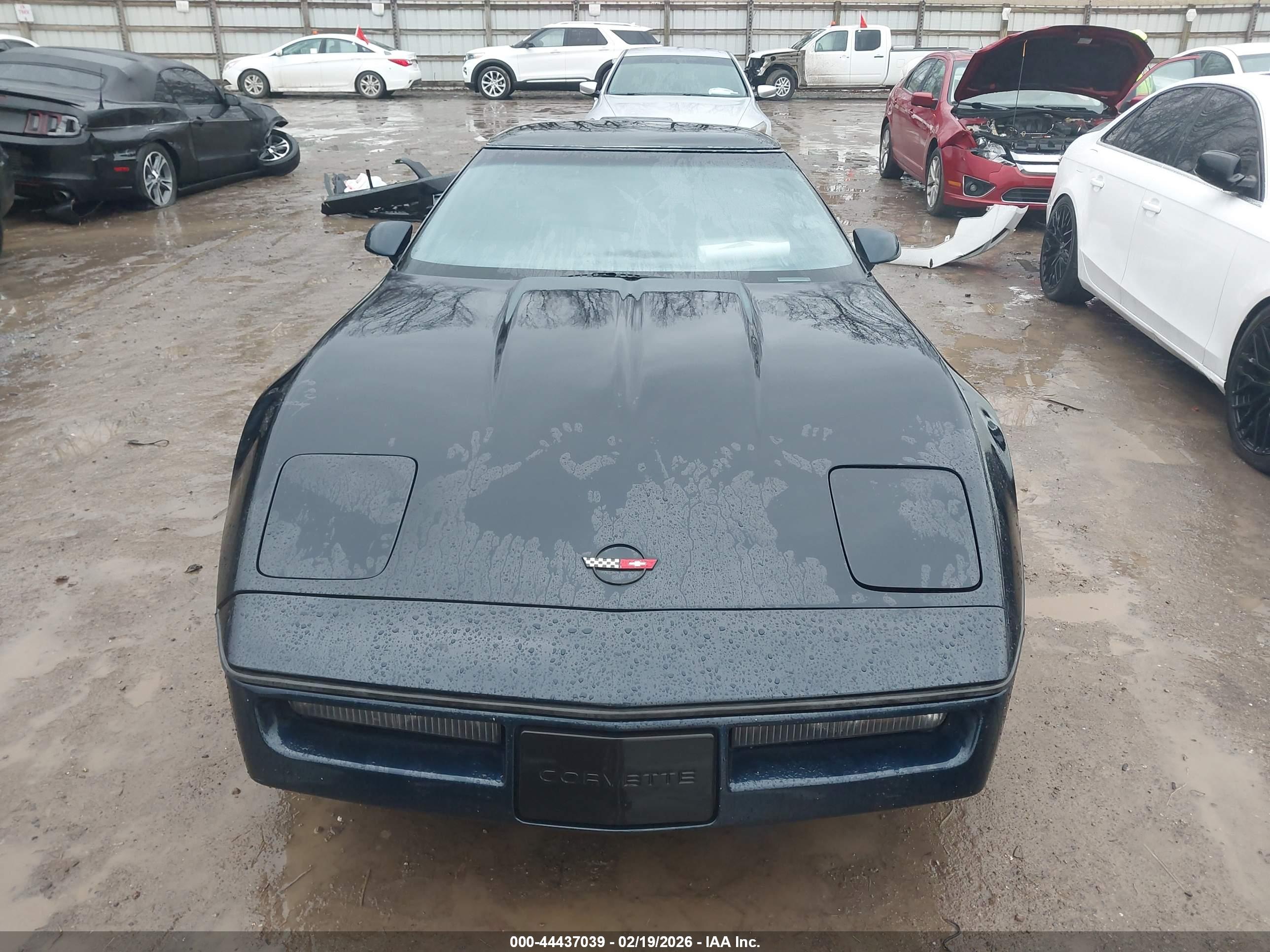 CHEVROLET CORVETTE image 6