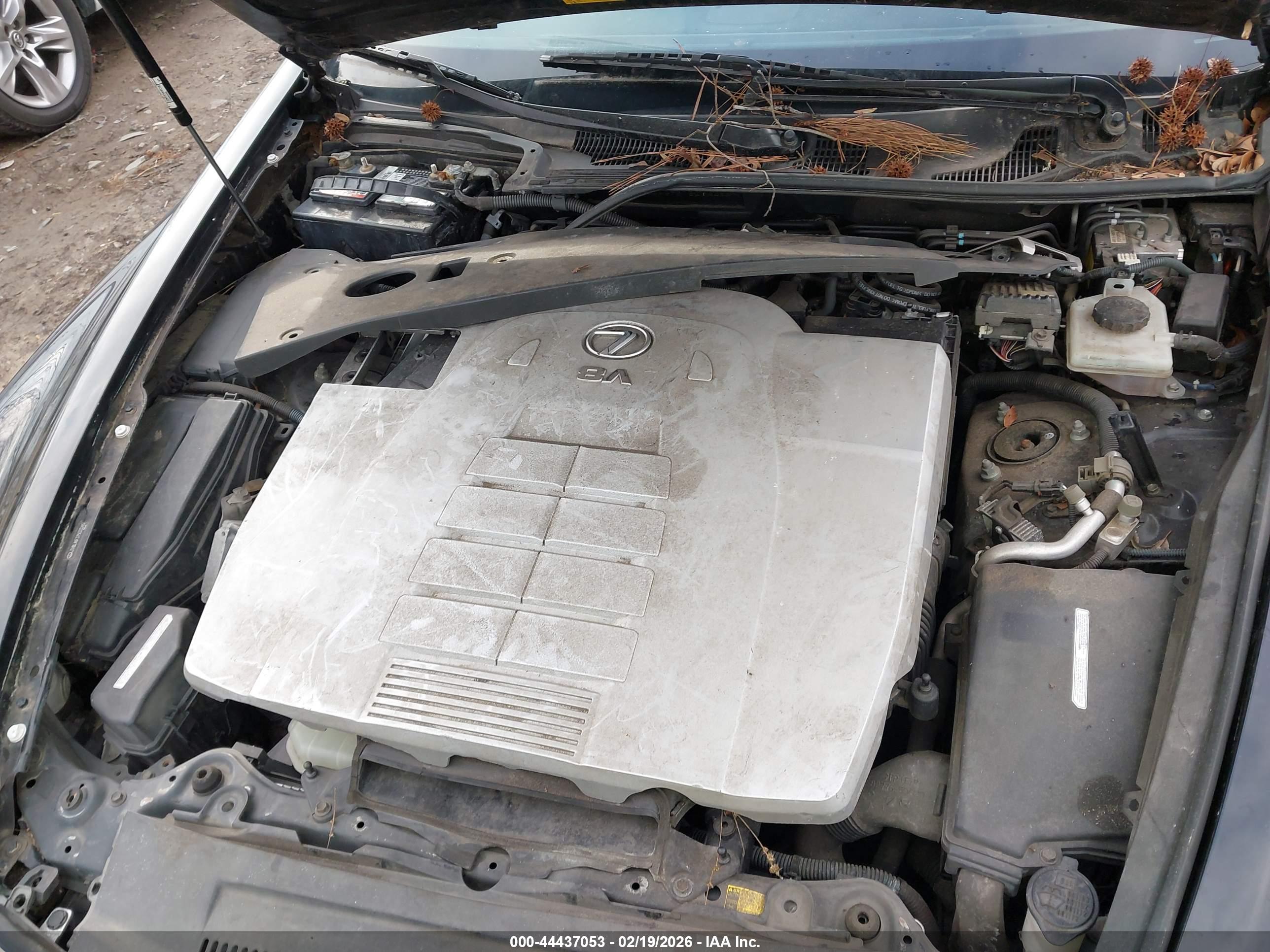 LEXUS LS image 10