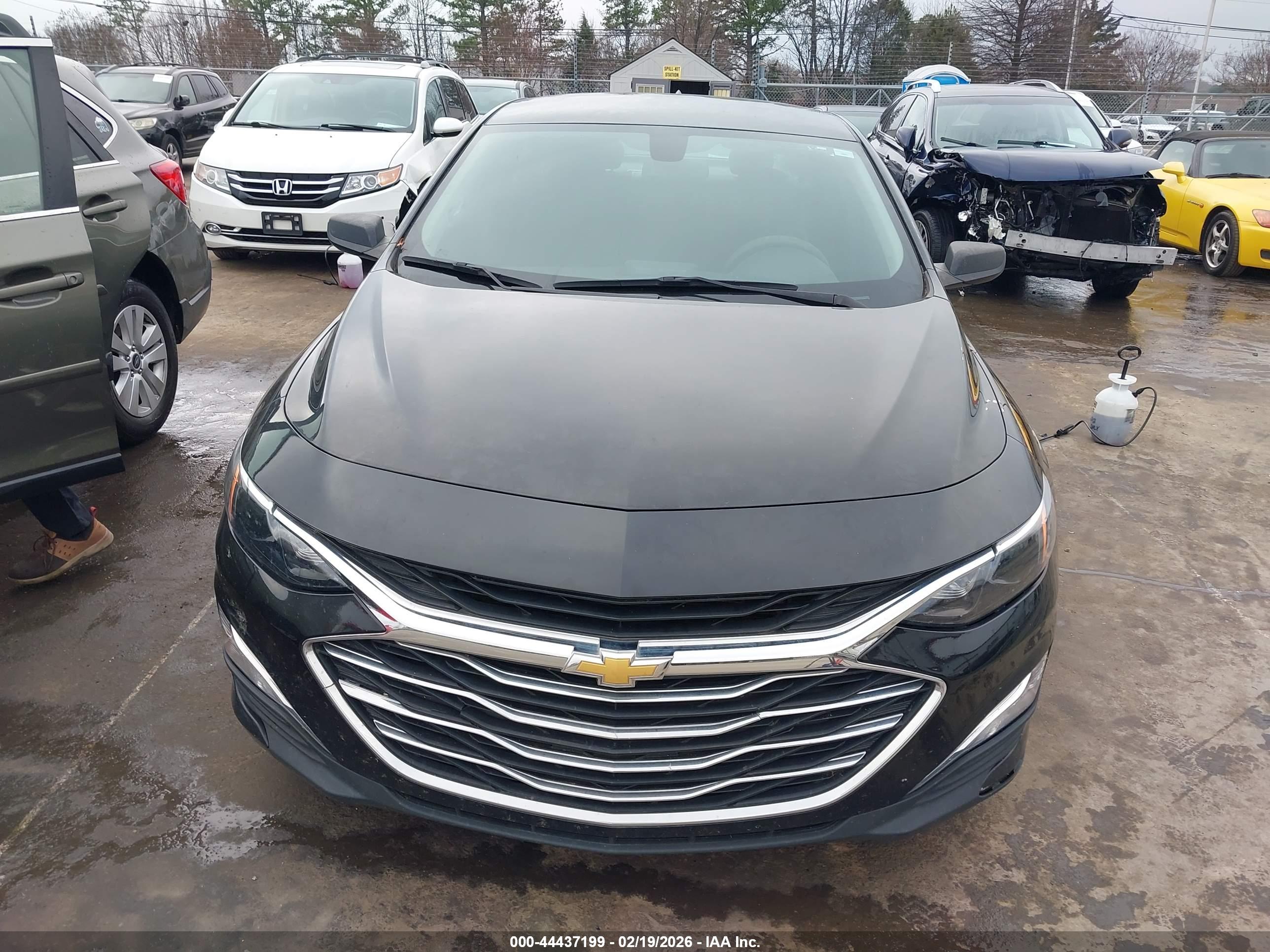CHEVROLET MALIBU image 6