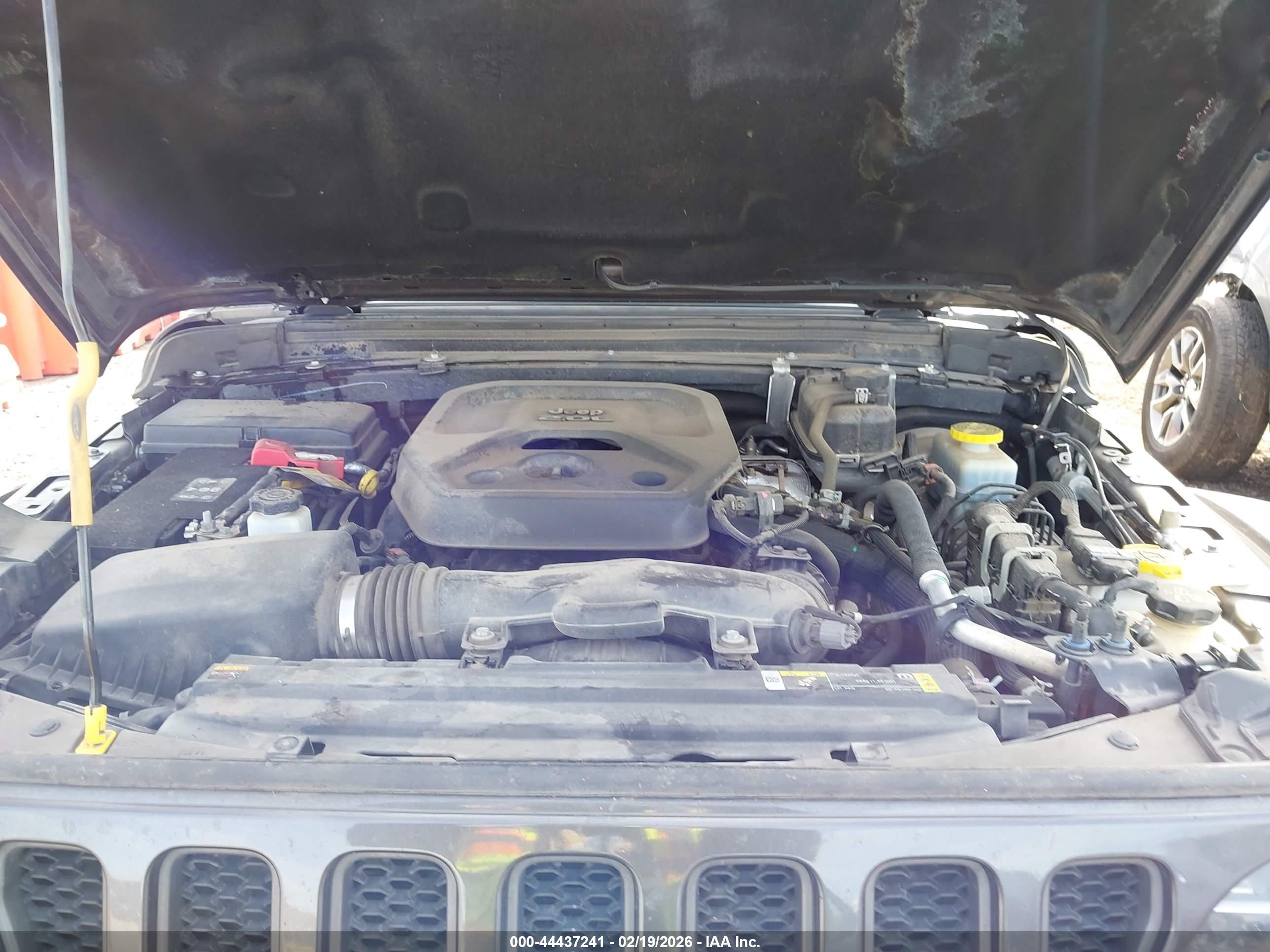 JEEP WRANGLER image 10