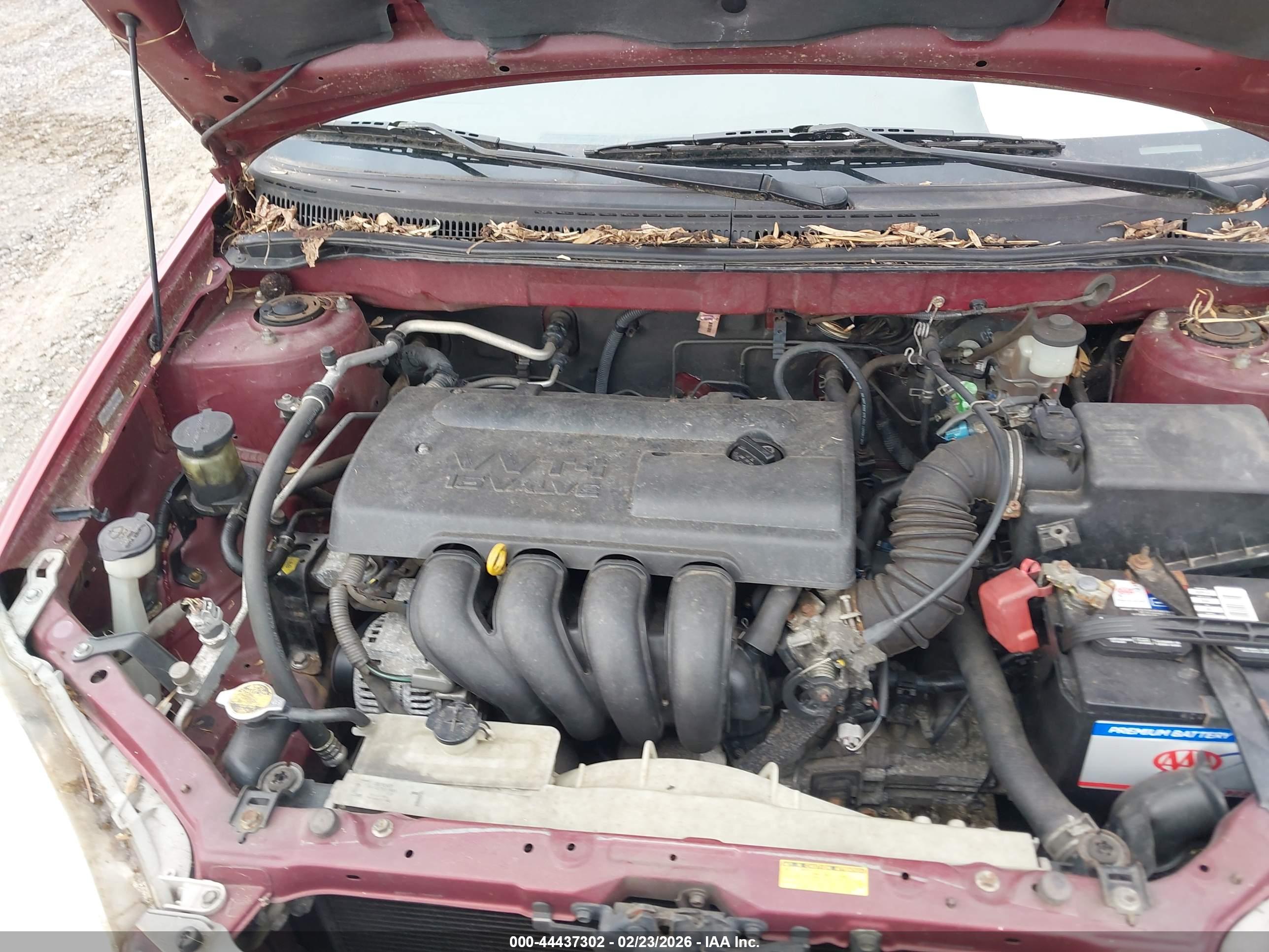 TOYOTA COROLLA image 10