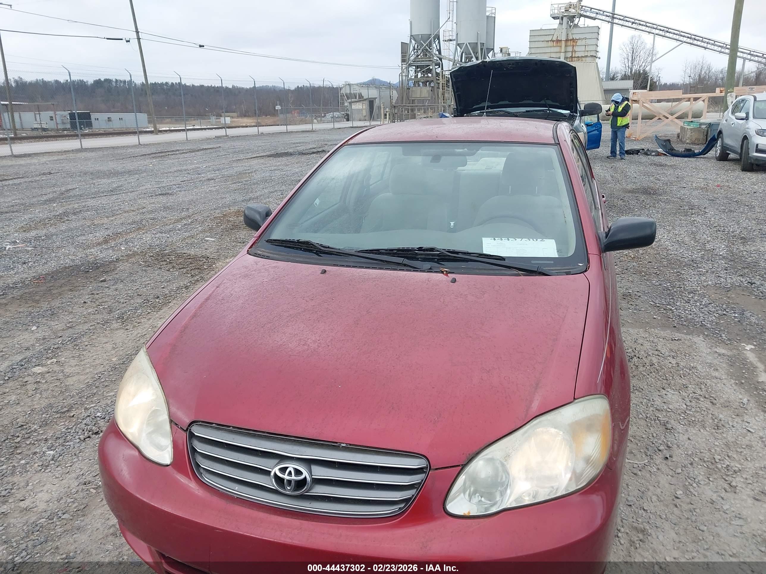 TOYOTA COROLLA image 6