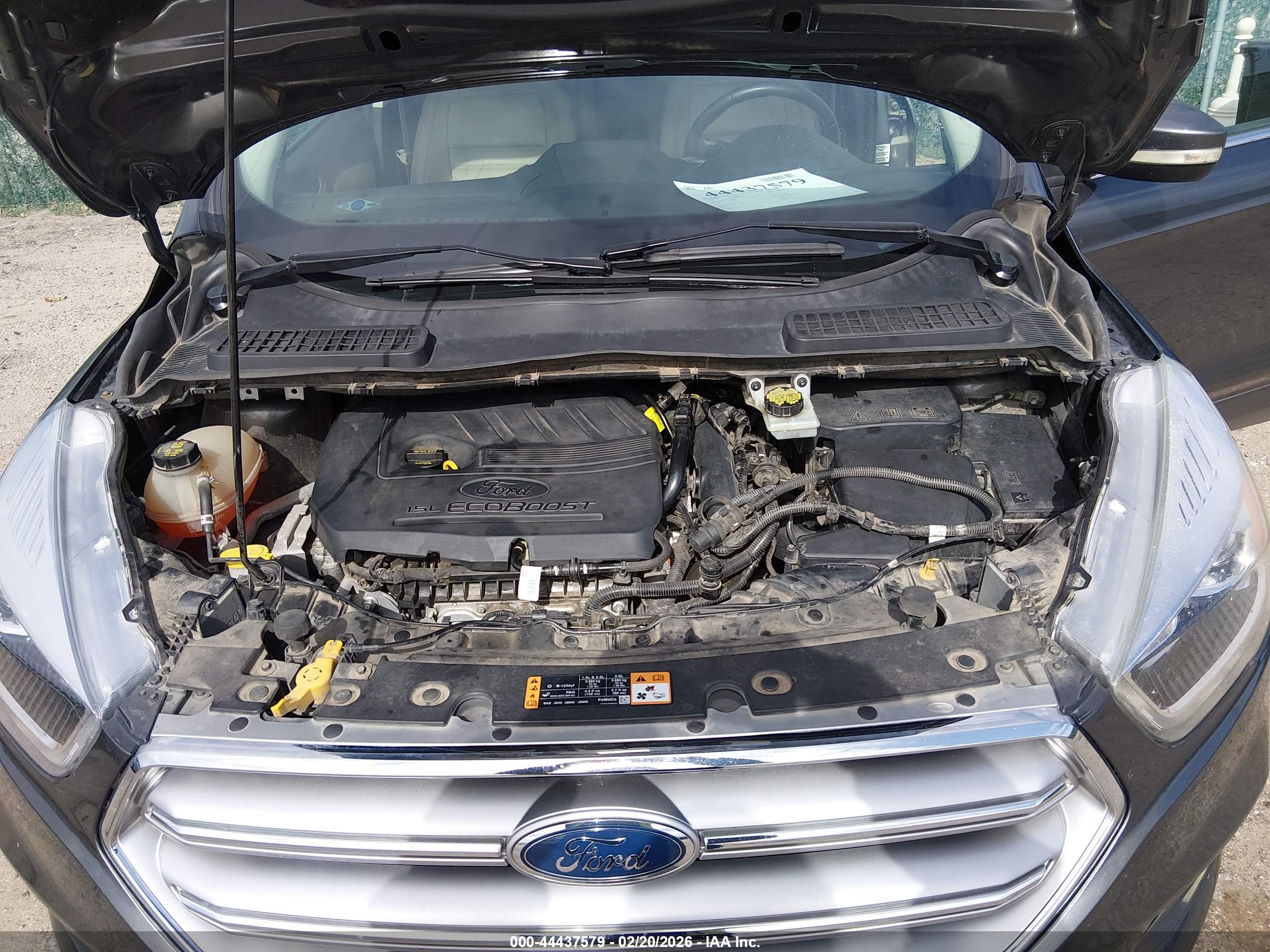 FORD ESCAPE image 10
