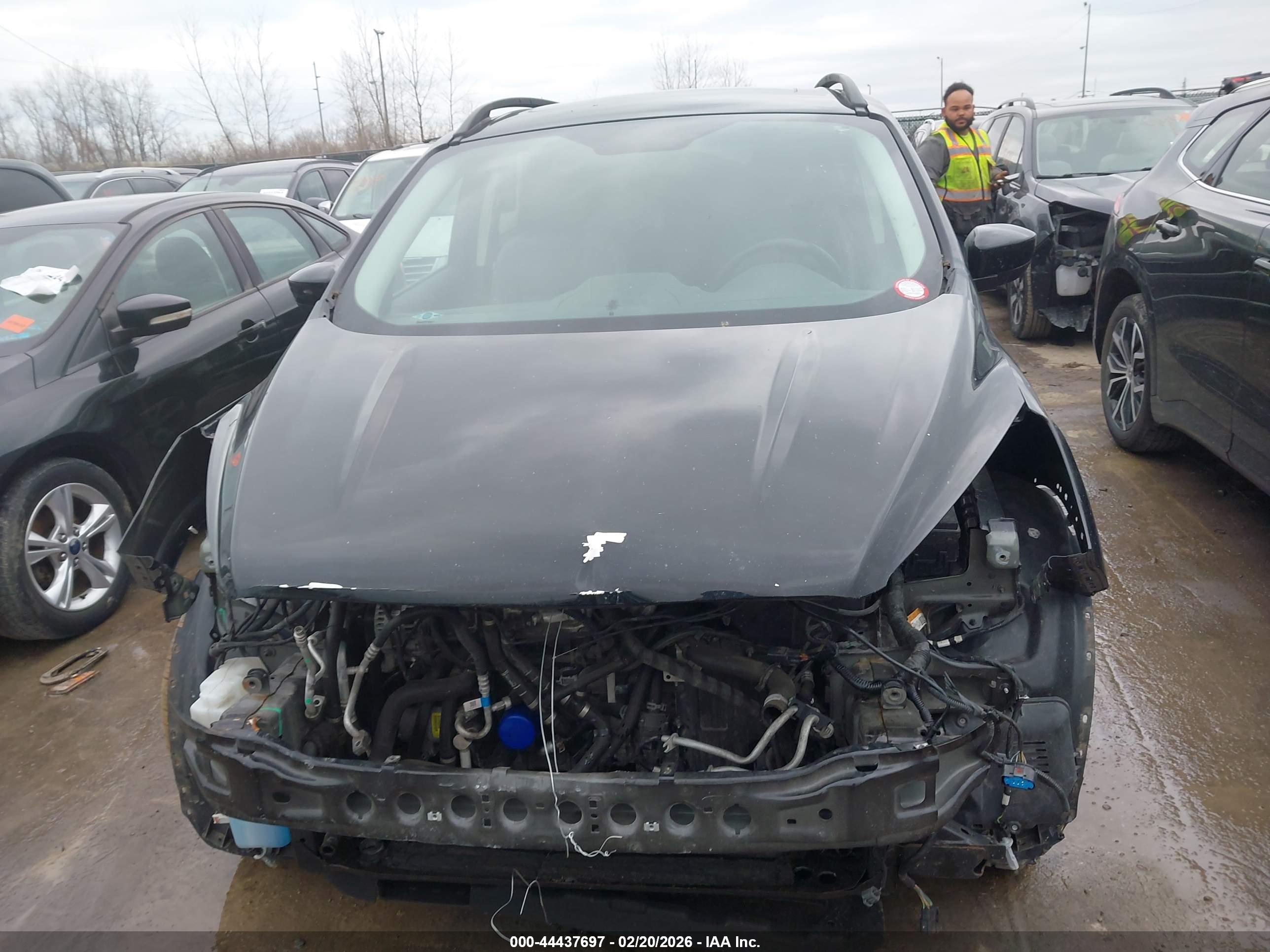 FORD ESCAPE image 6