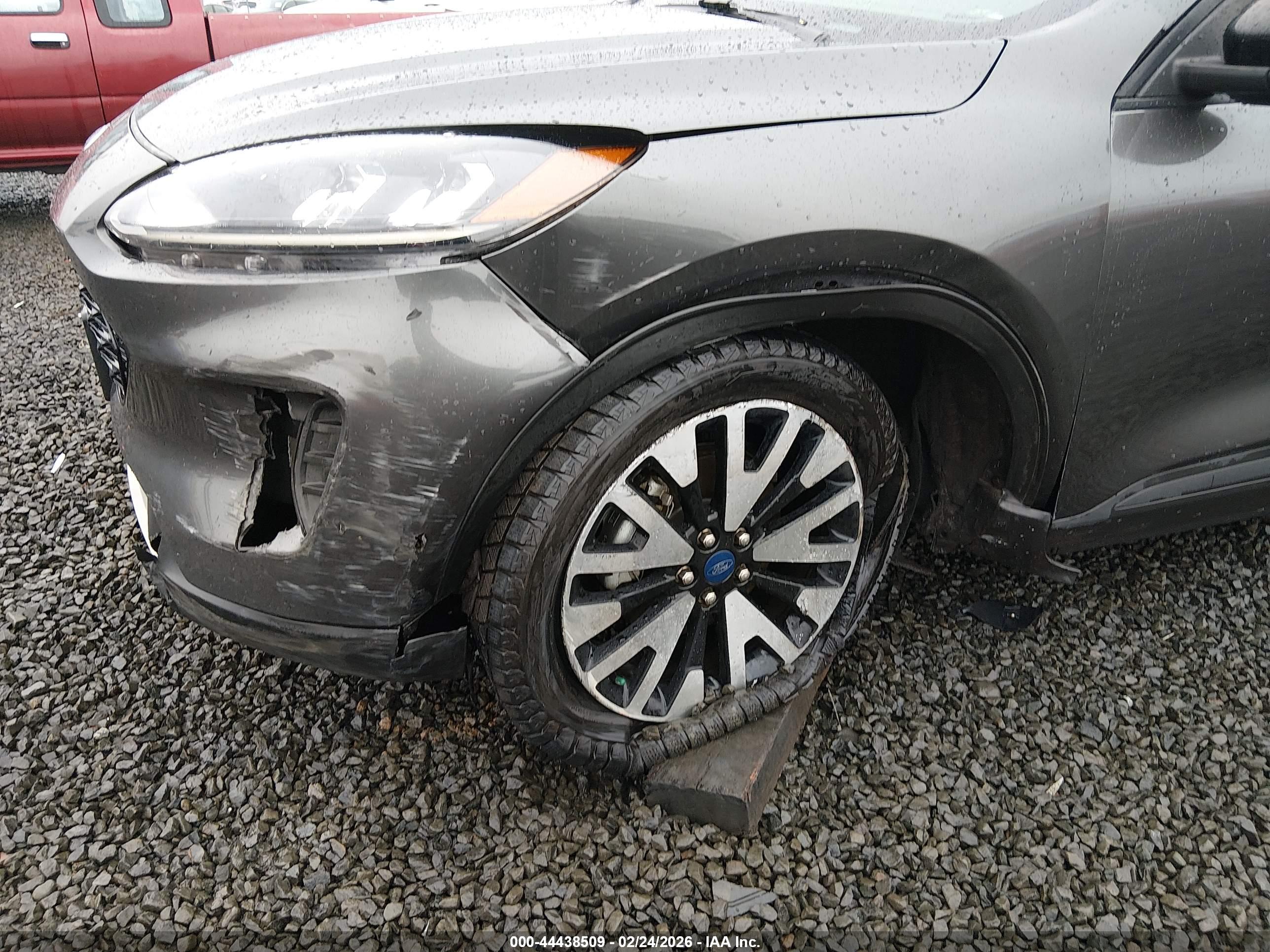 FORD ESCAPE image 6