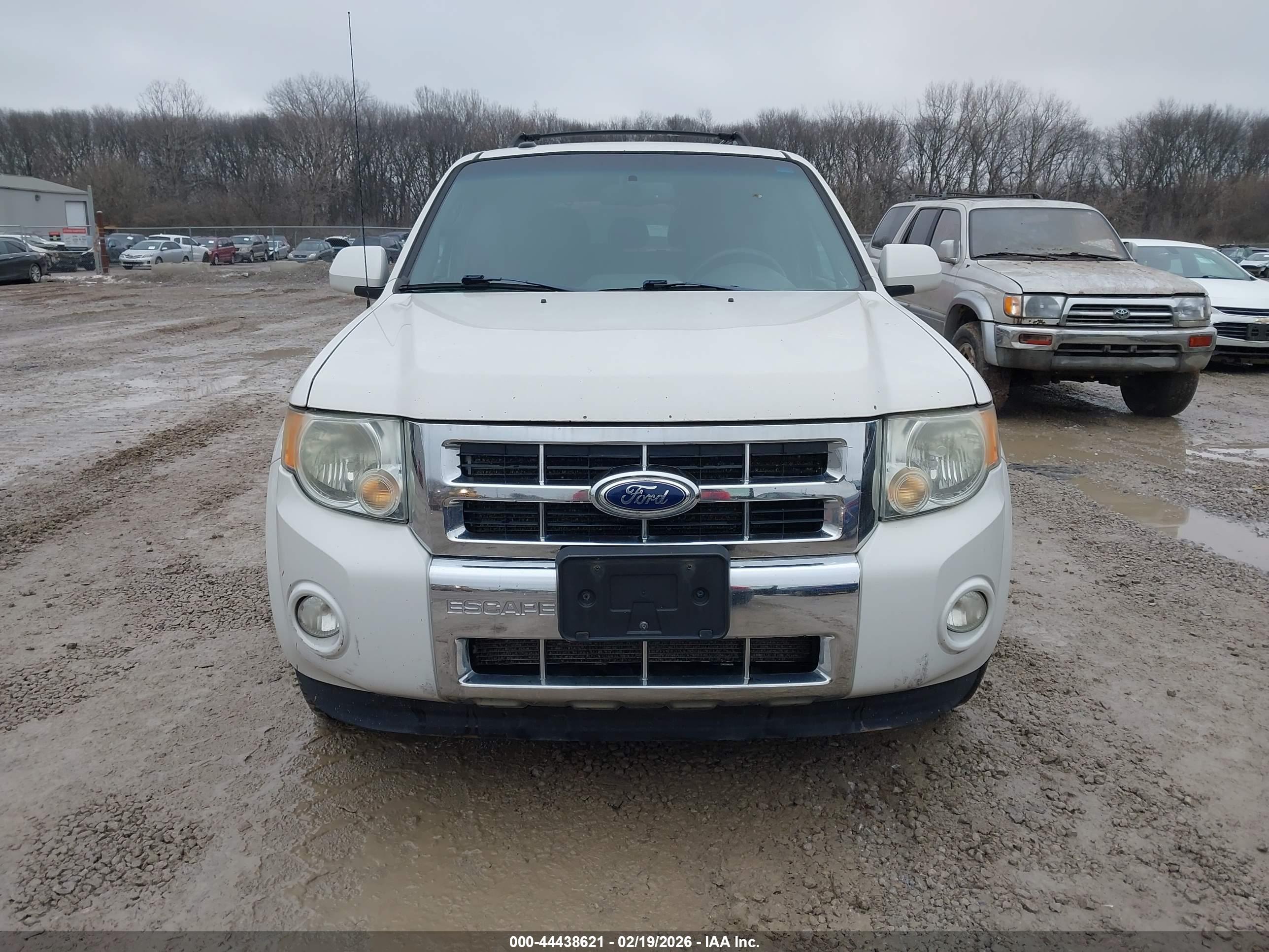 FORD ESCAPE image 6