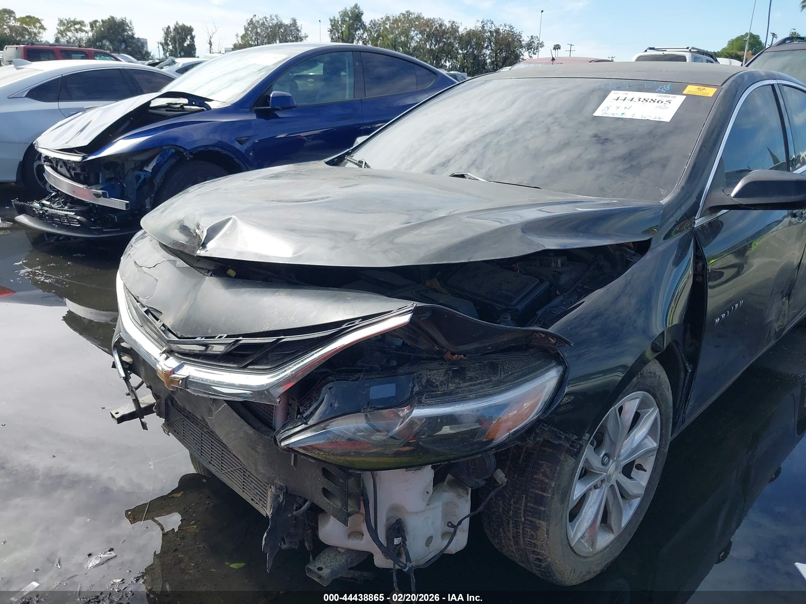 CHEVROLET MALIBU image 6