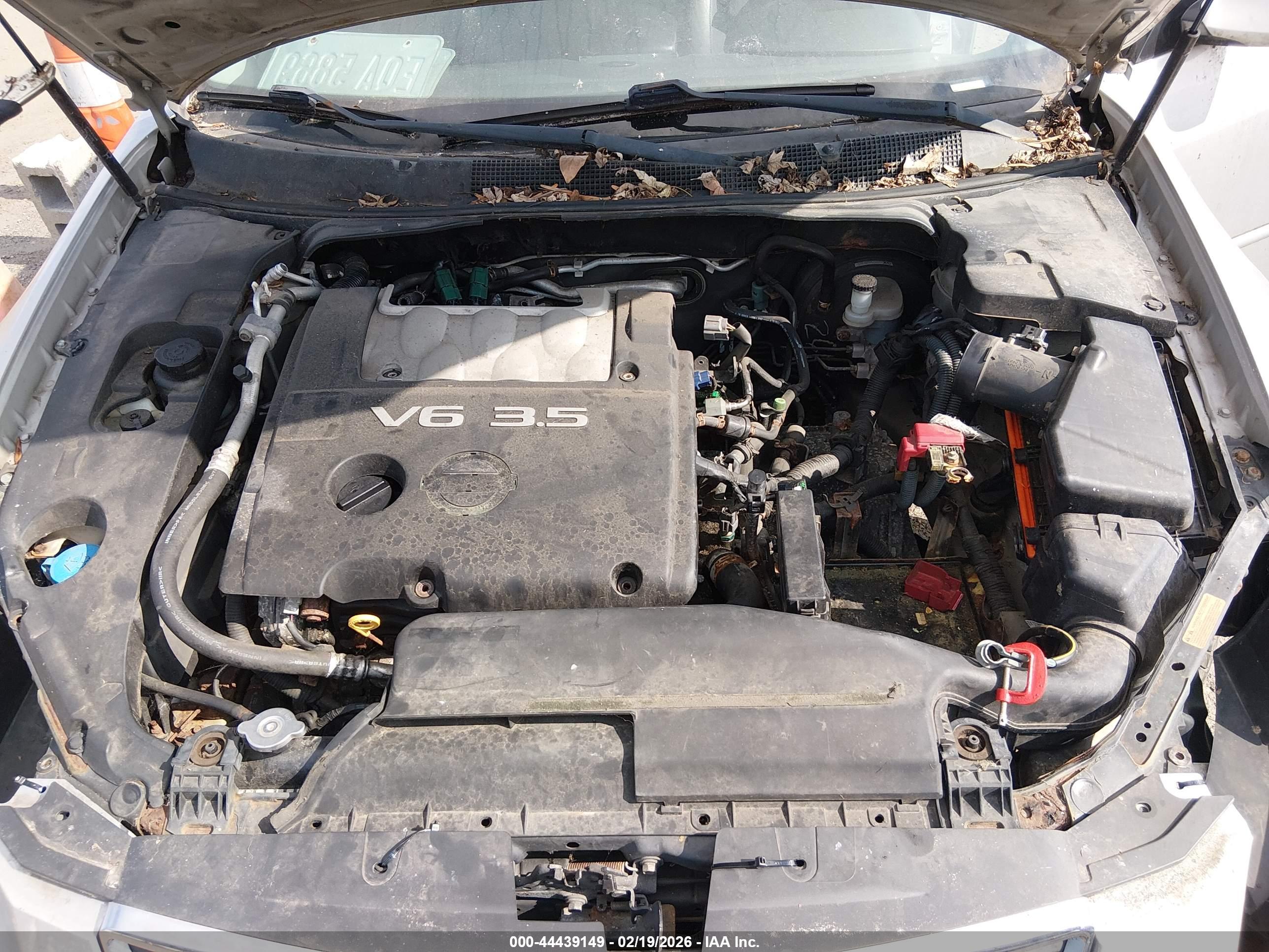 NISSAN MAXIMA image 10