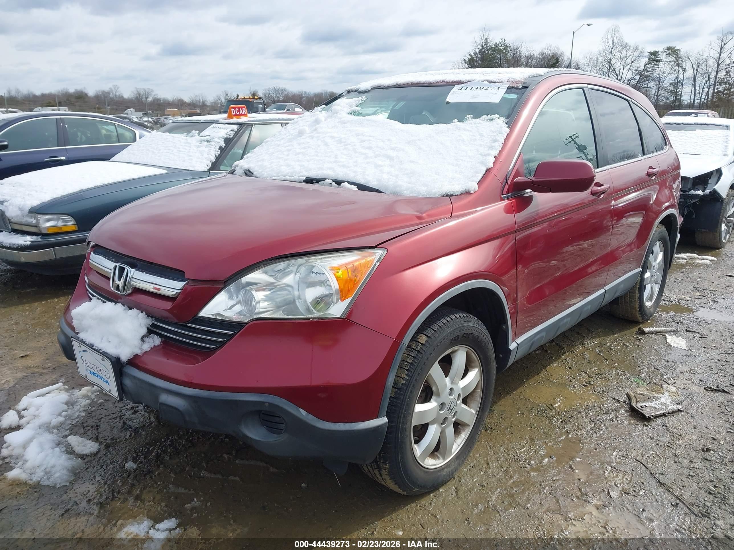 HONDA CR-V image 2