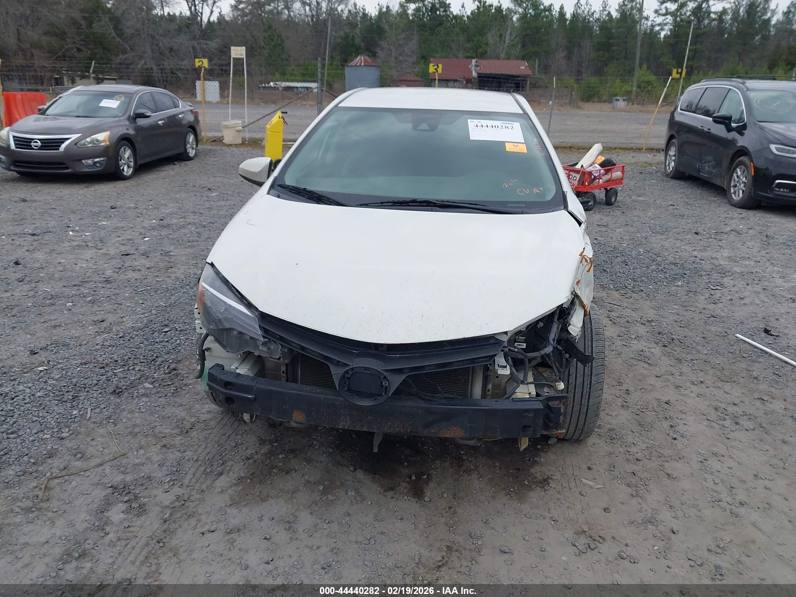 TOYOTA COROLLA image 6