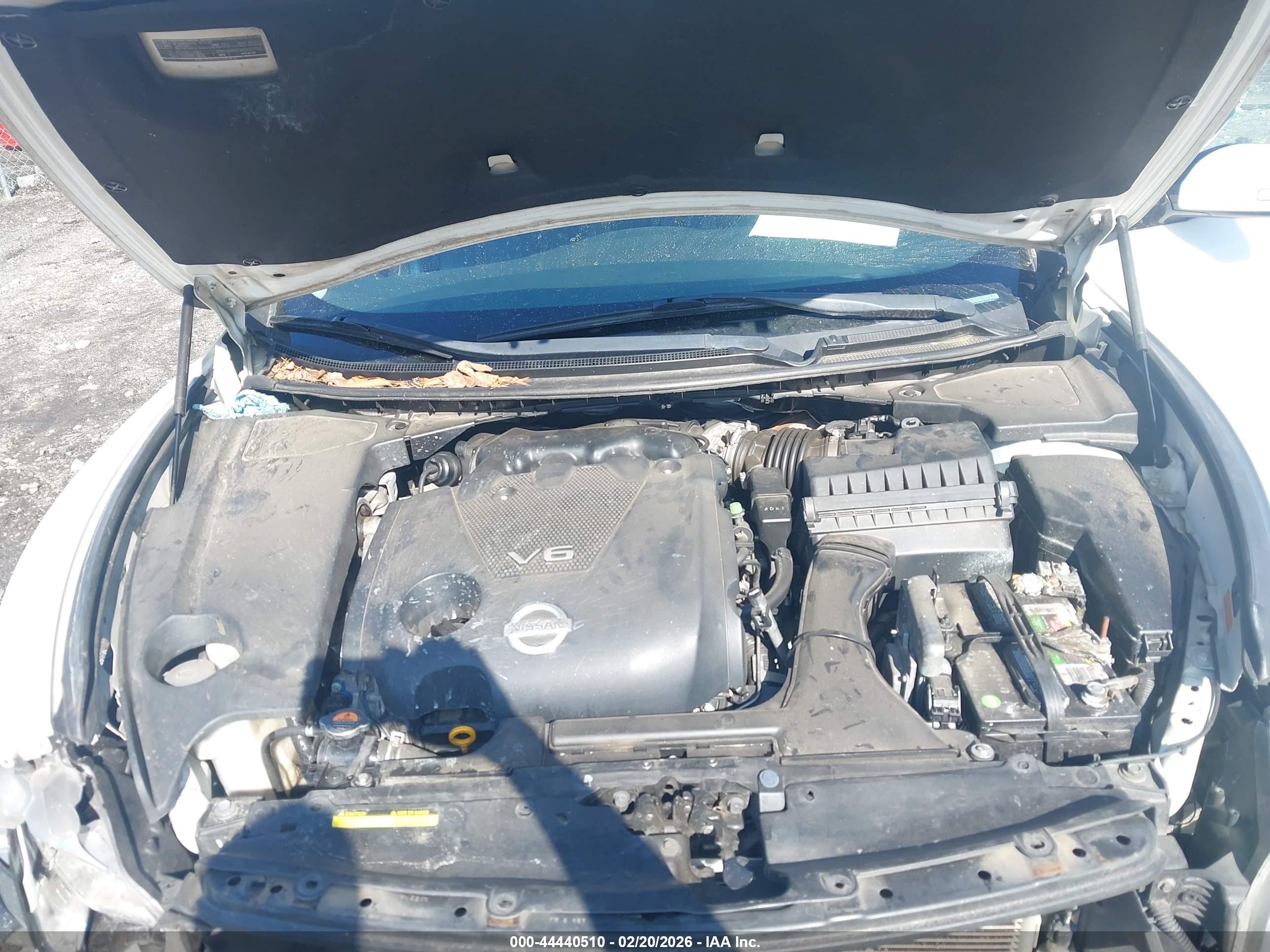 NISSAN MAXIMA image 10