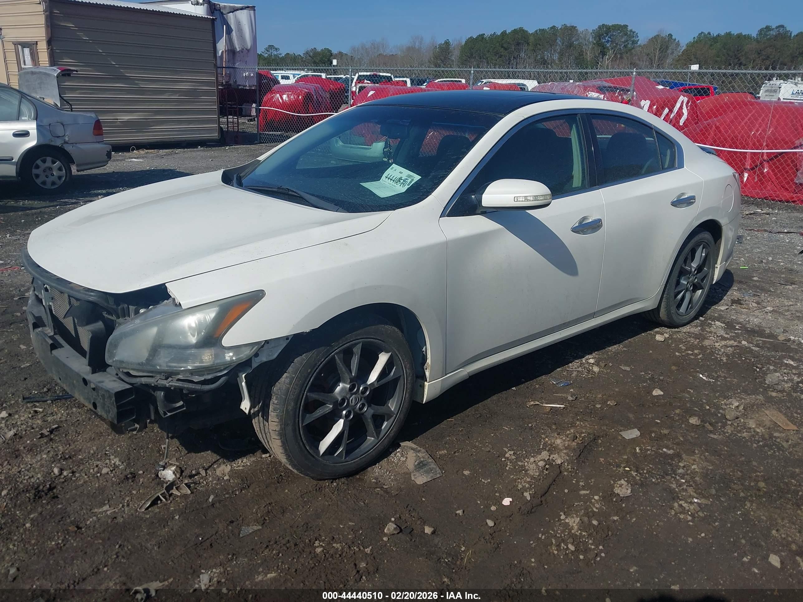NISSAN MAXIMA image 2