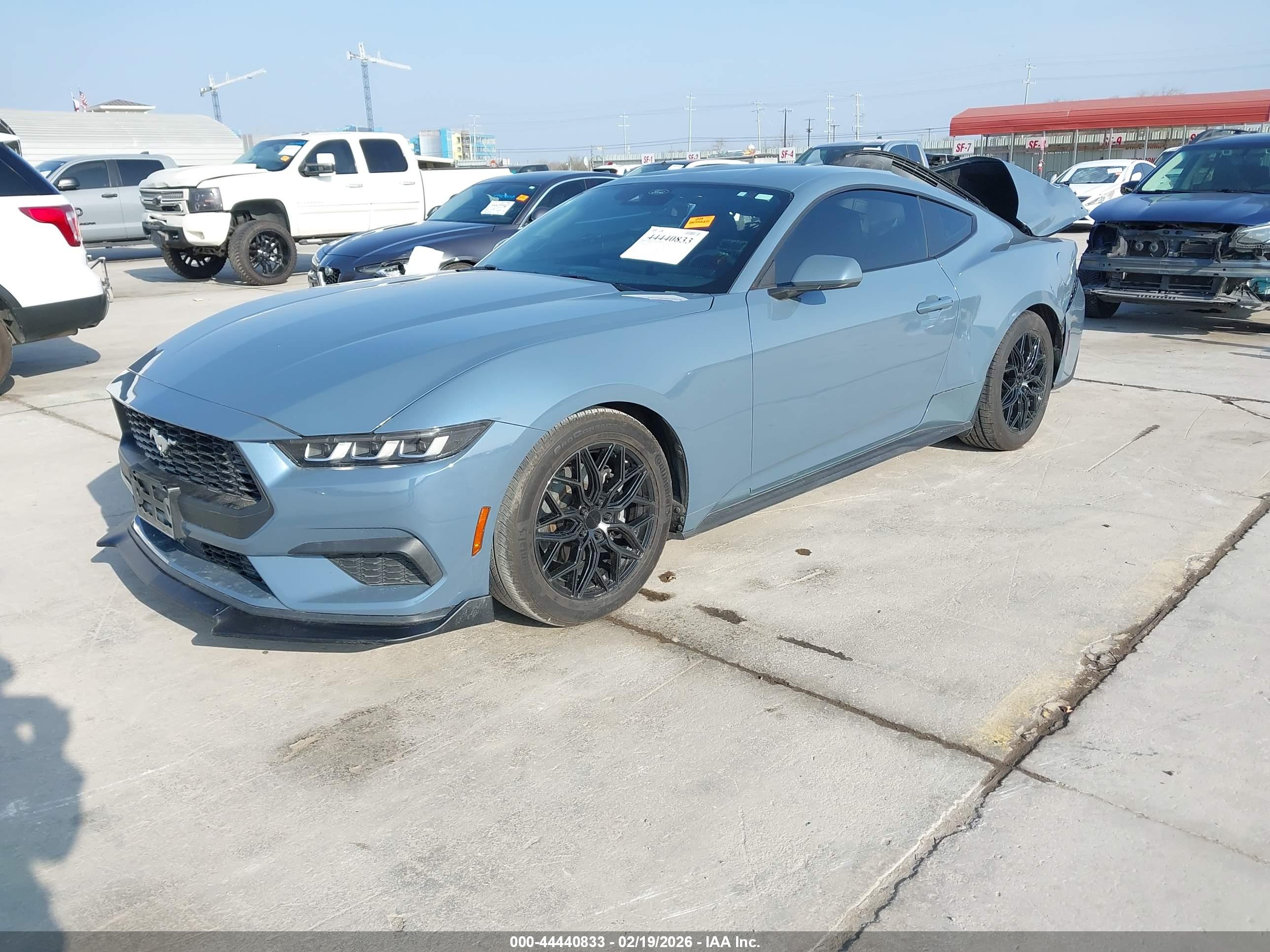 FORD MUSTANG image 2