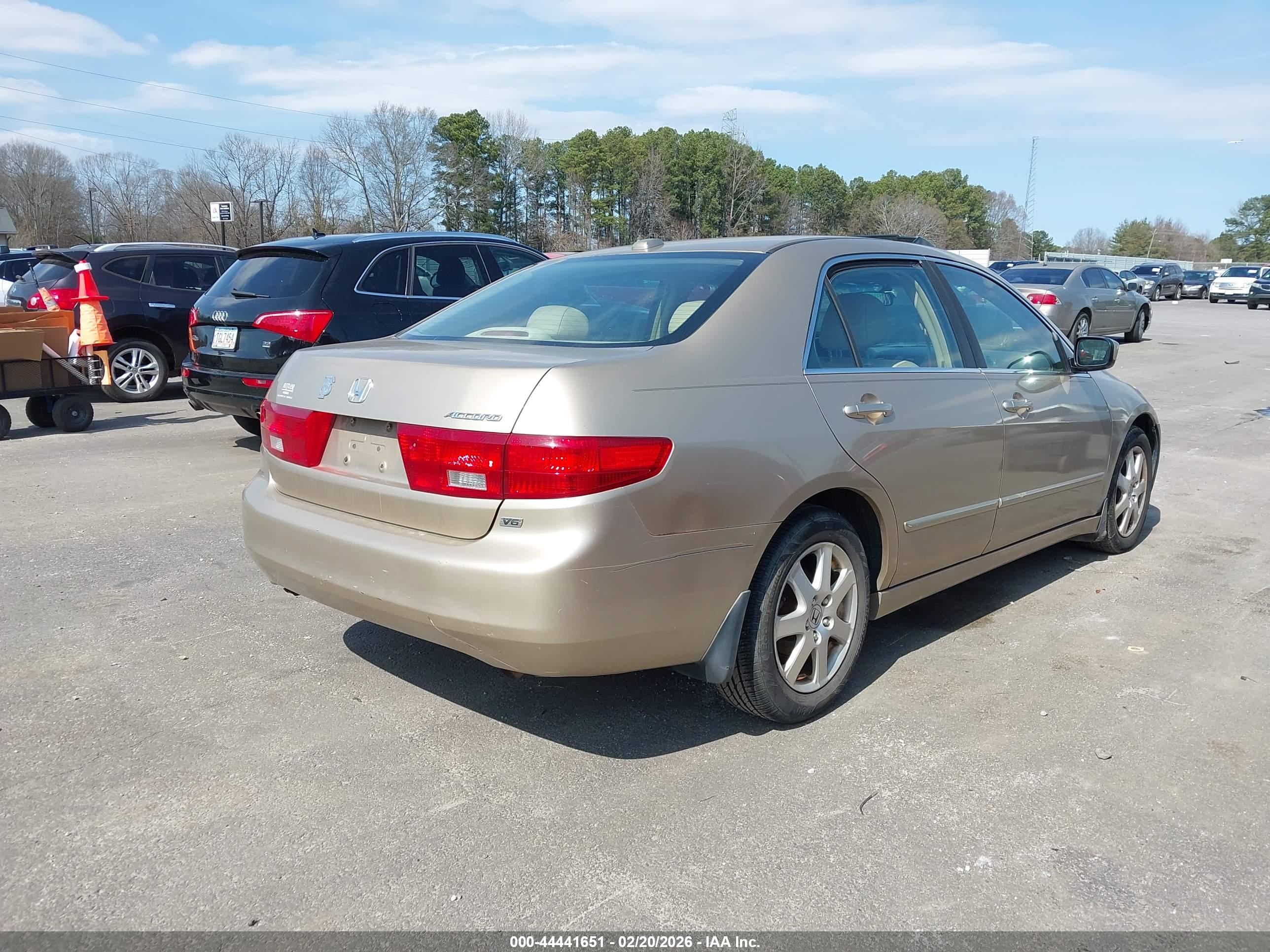 HONDA ACCORD image 4