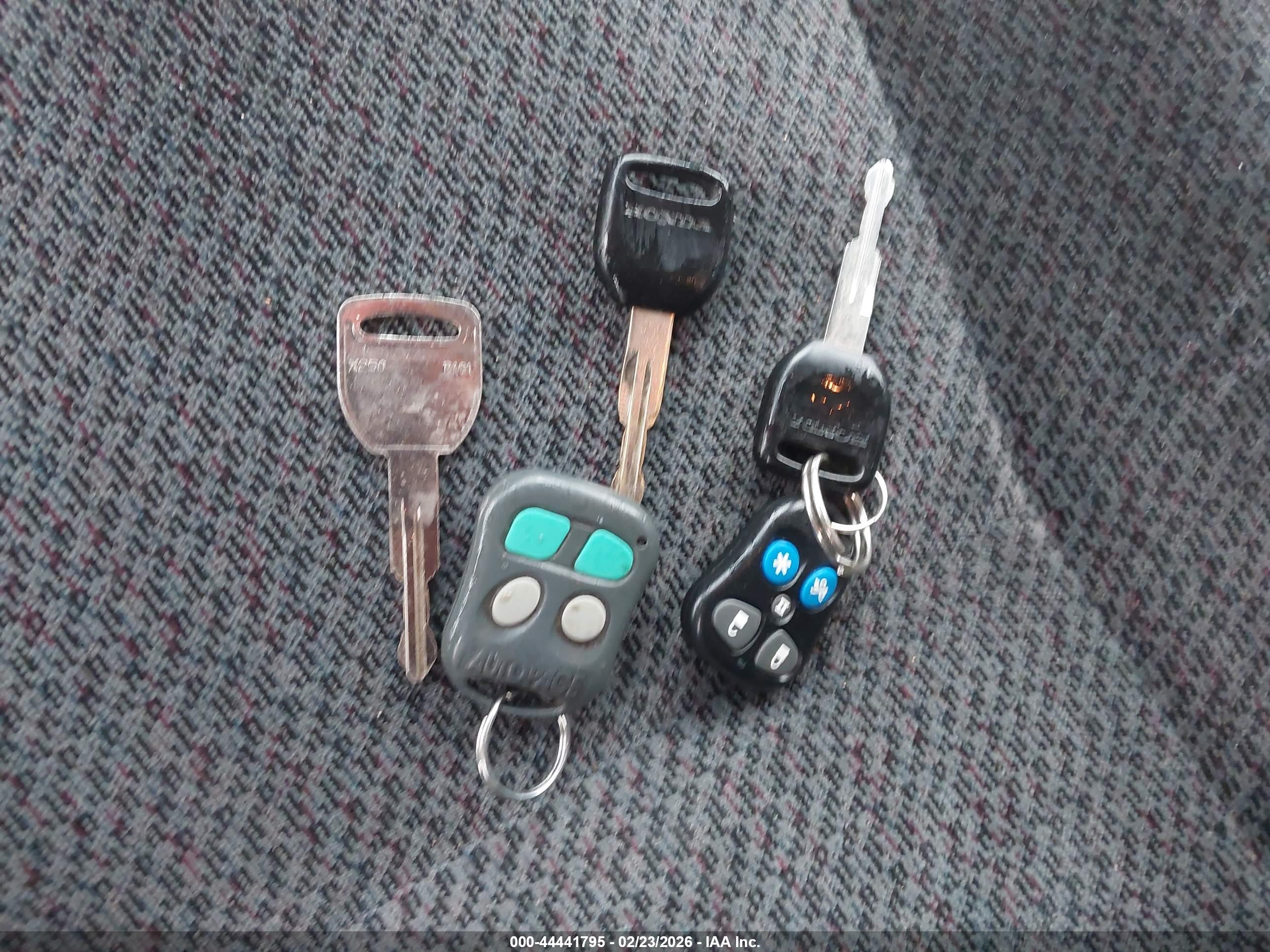 HONDA PASSPORT image 11