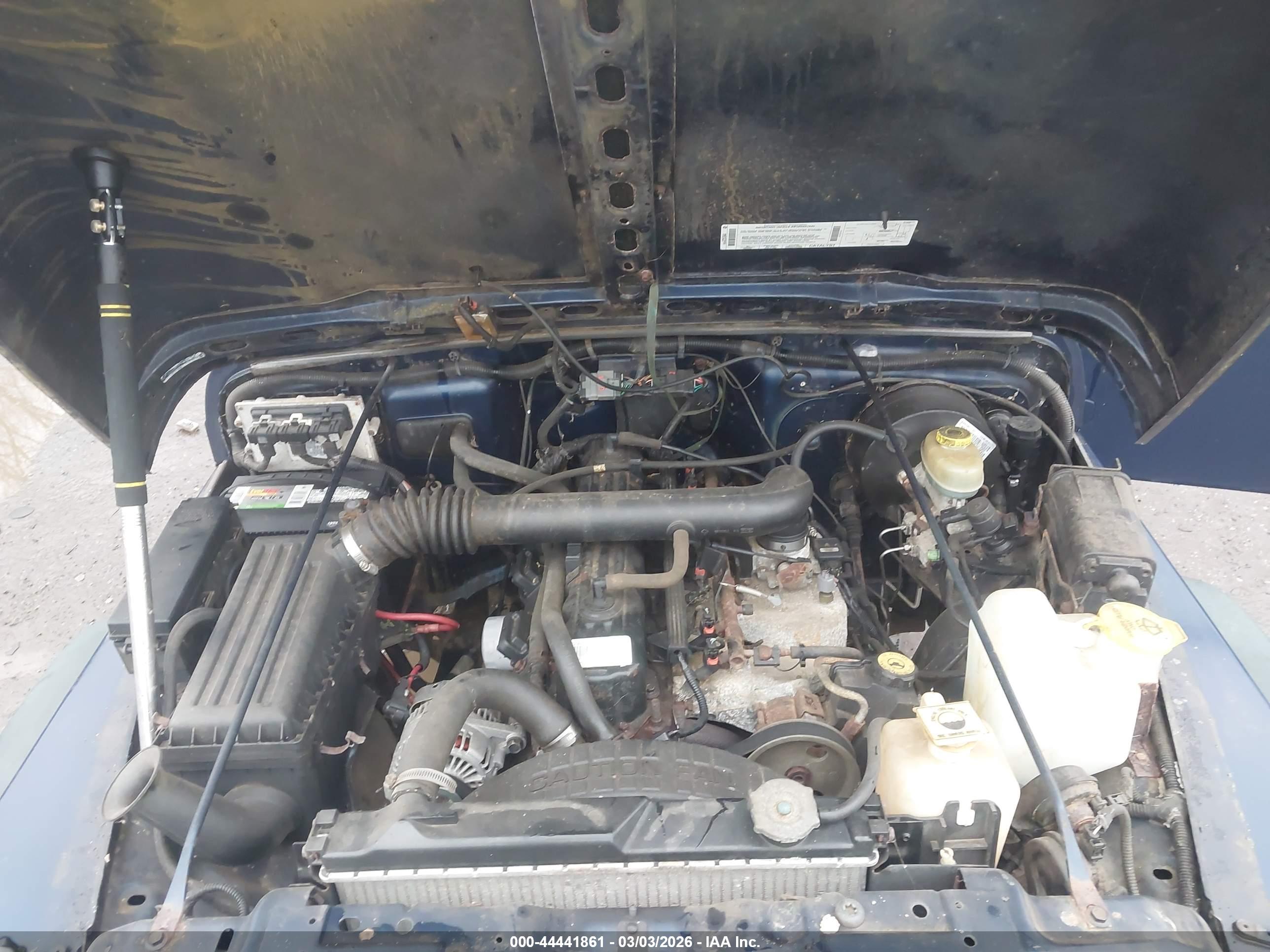JEEP WRANGLER image 10