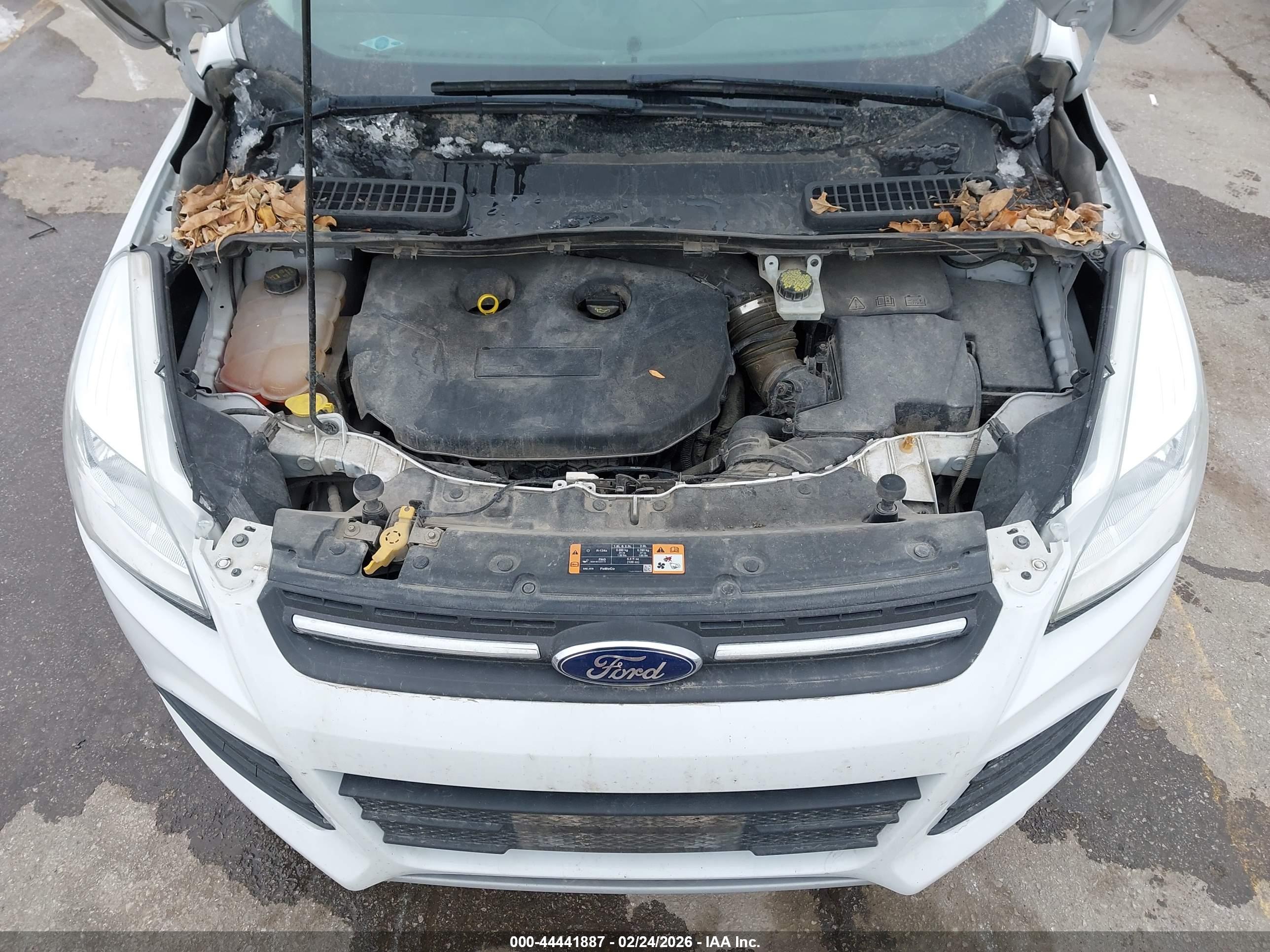 FORD ESCAPE image 10