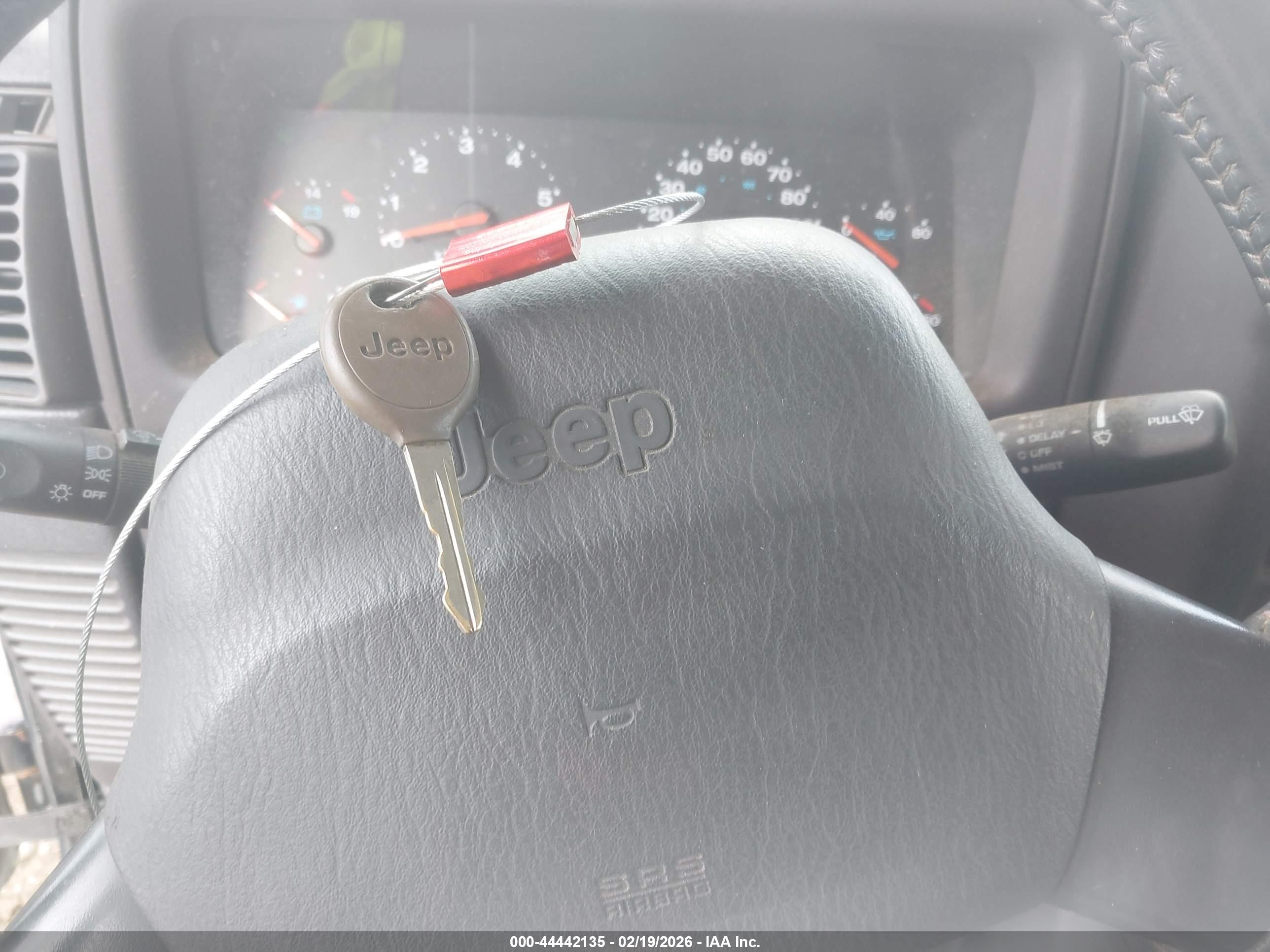 JEEP WRANGLER image 11