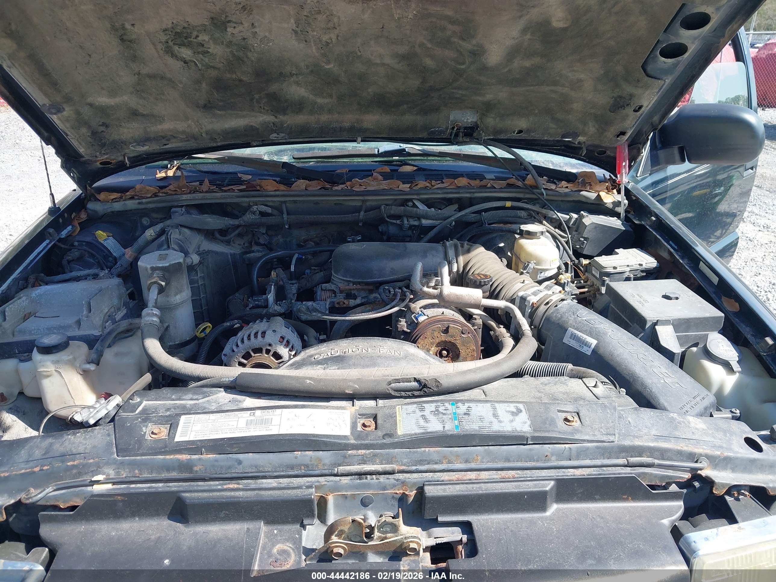 CHEVROLET S-10 image 10