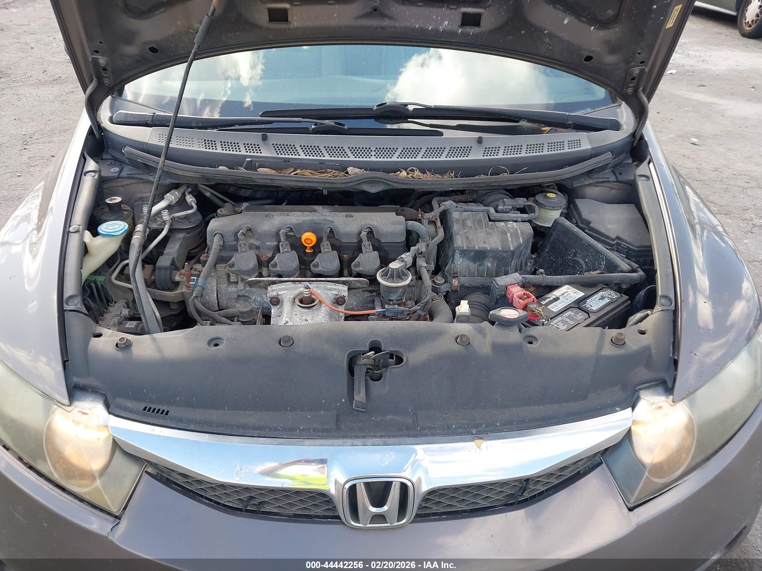 HONDA CIVIC image 10