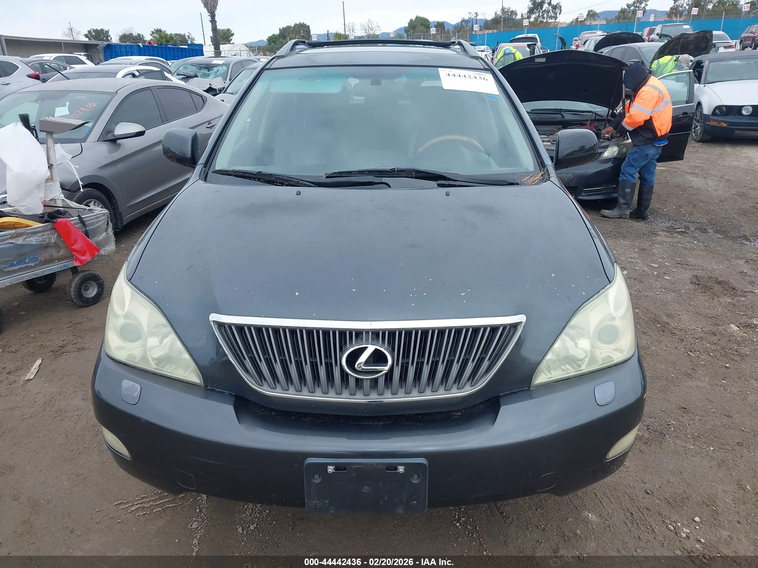 LEXUS RX image 6