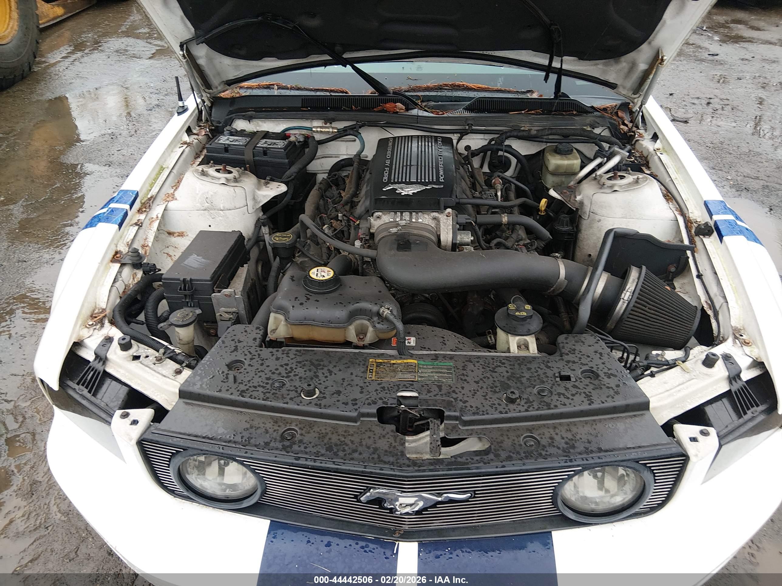 FORD MUSTANG image 10
