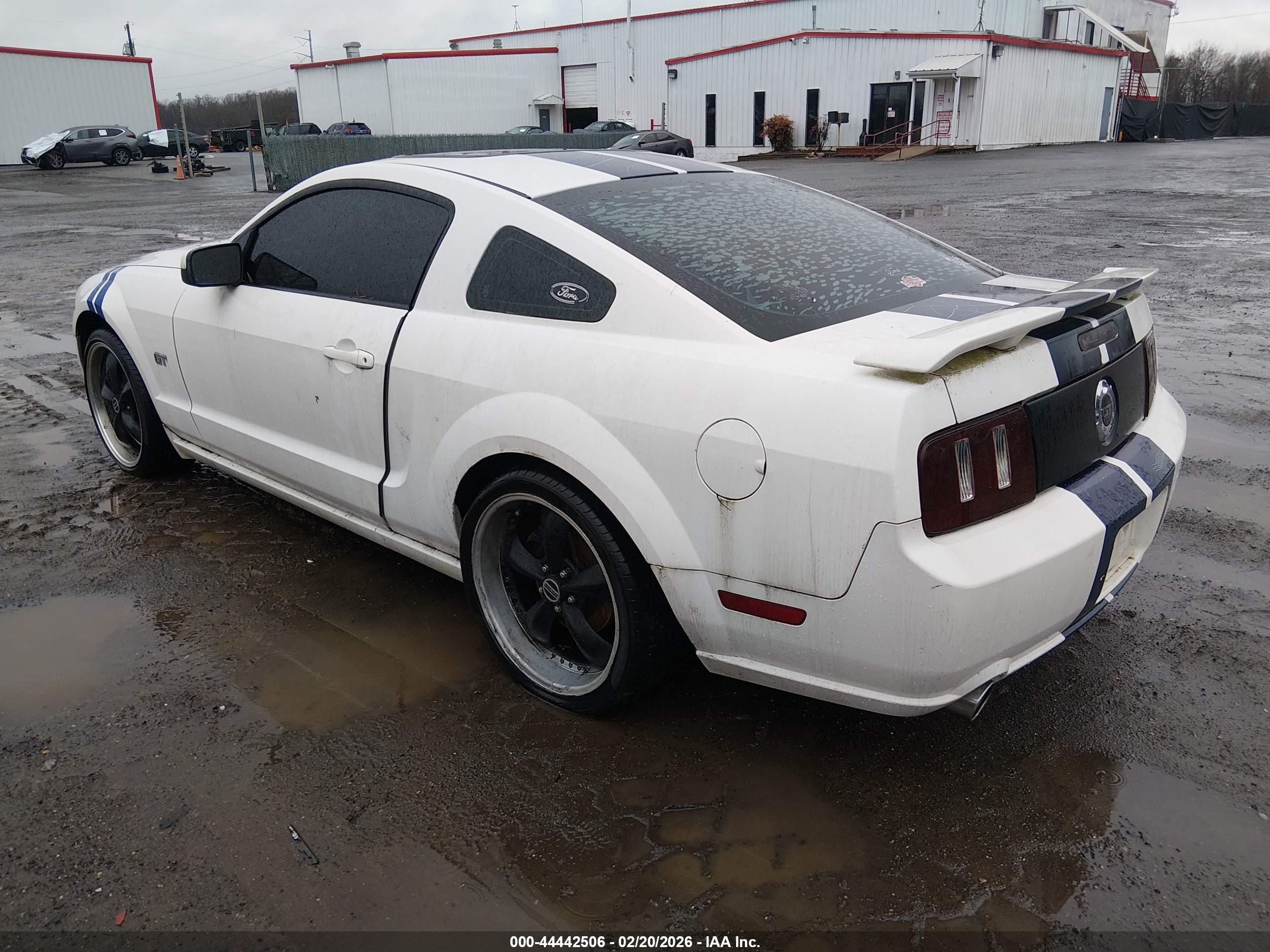 FORD MUSTANG image 3