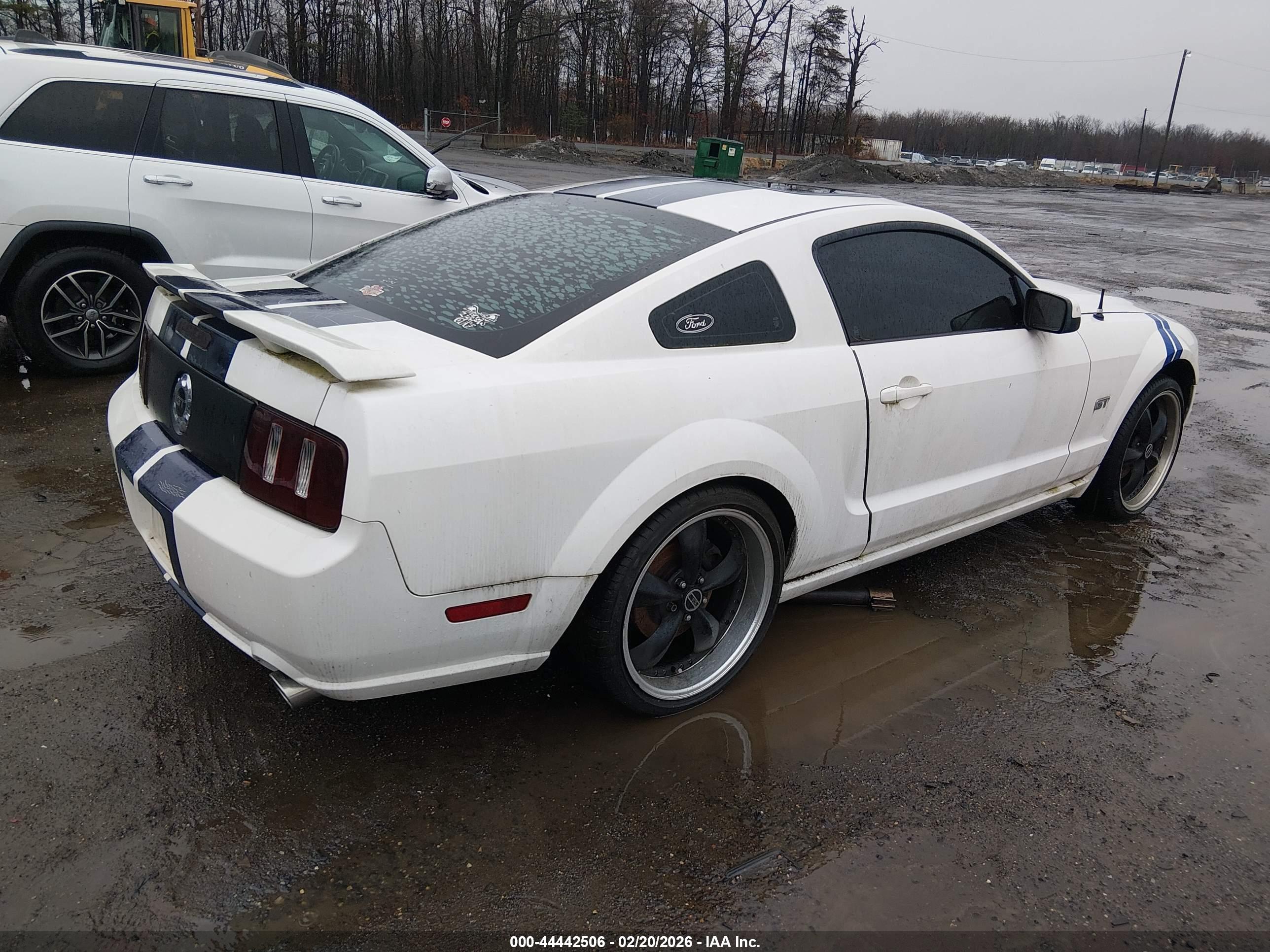 FORD MUSTANG image 4