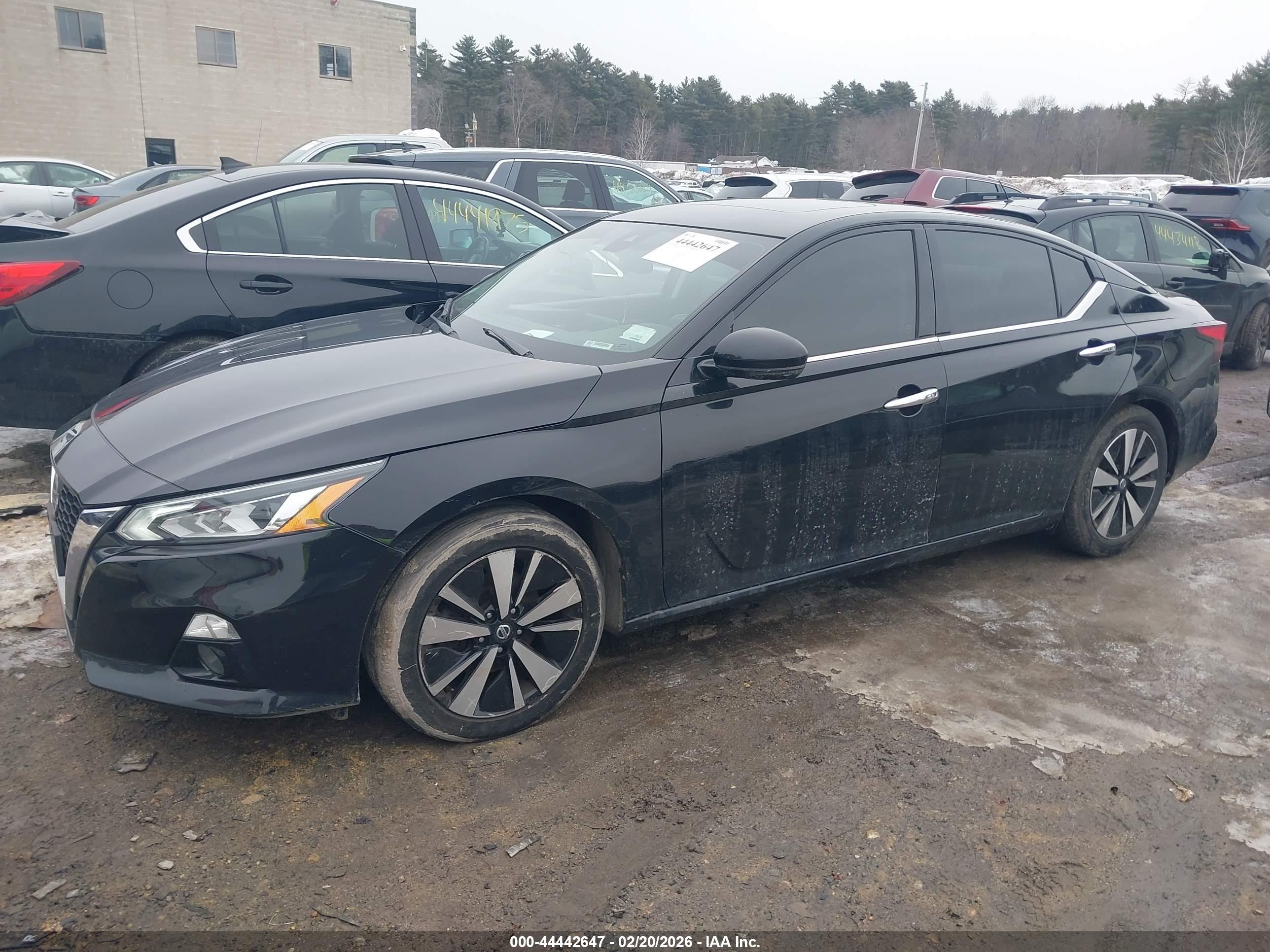NISSAN ALTIMA image 2