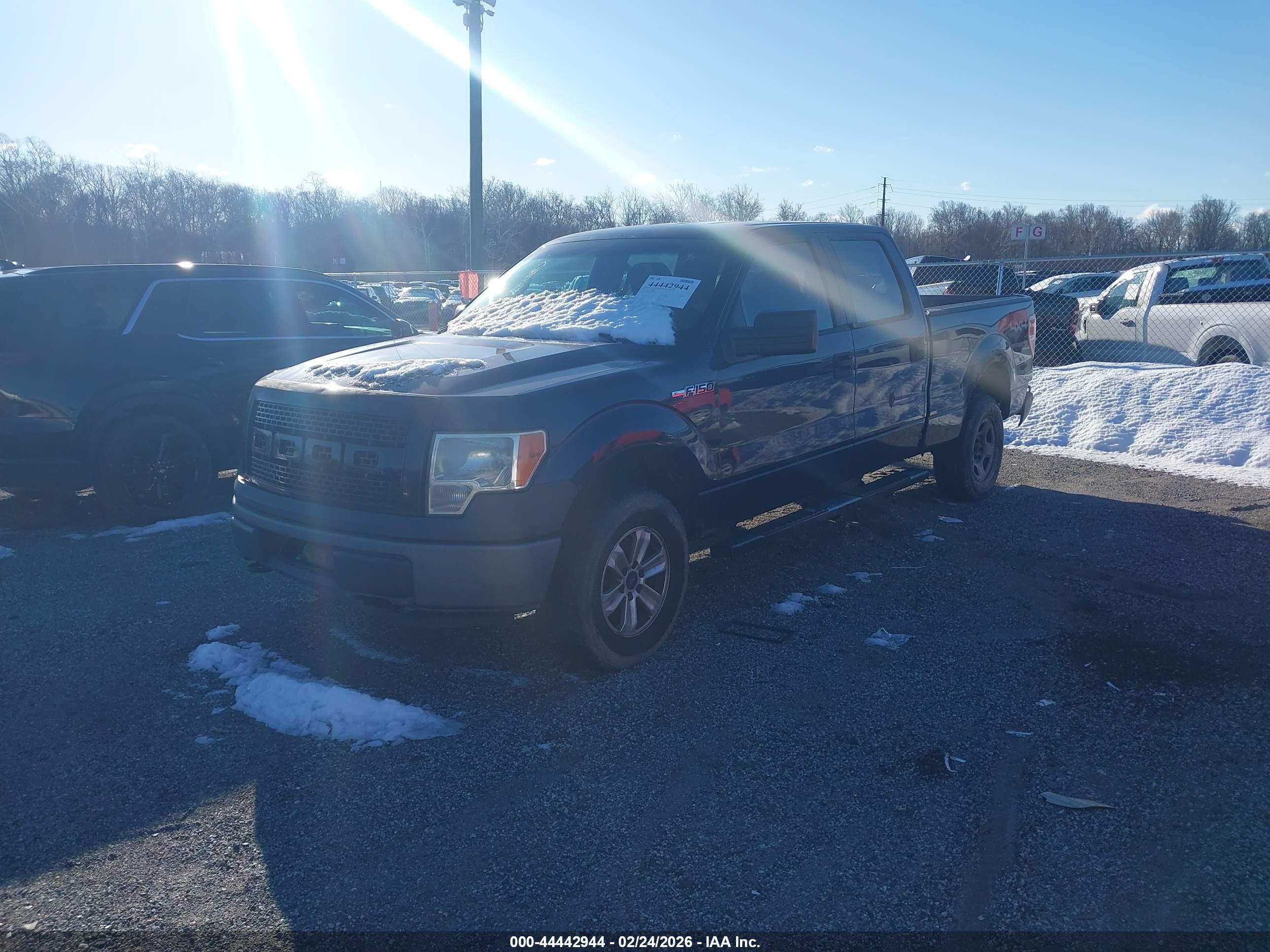 FORD F-150 image 2
