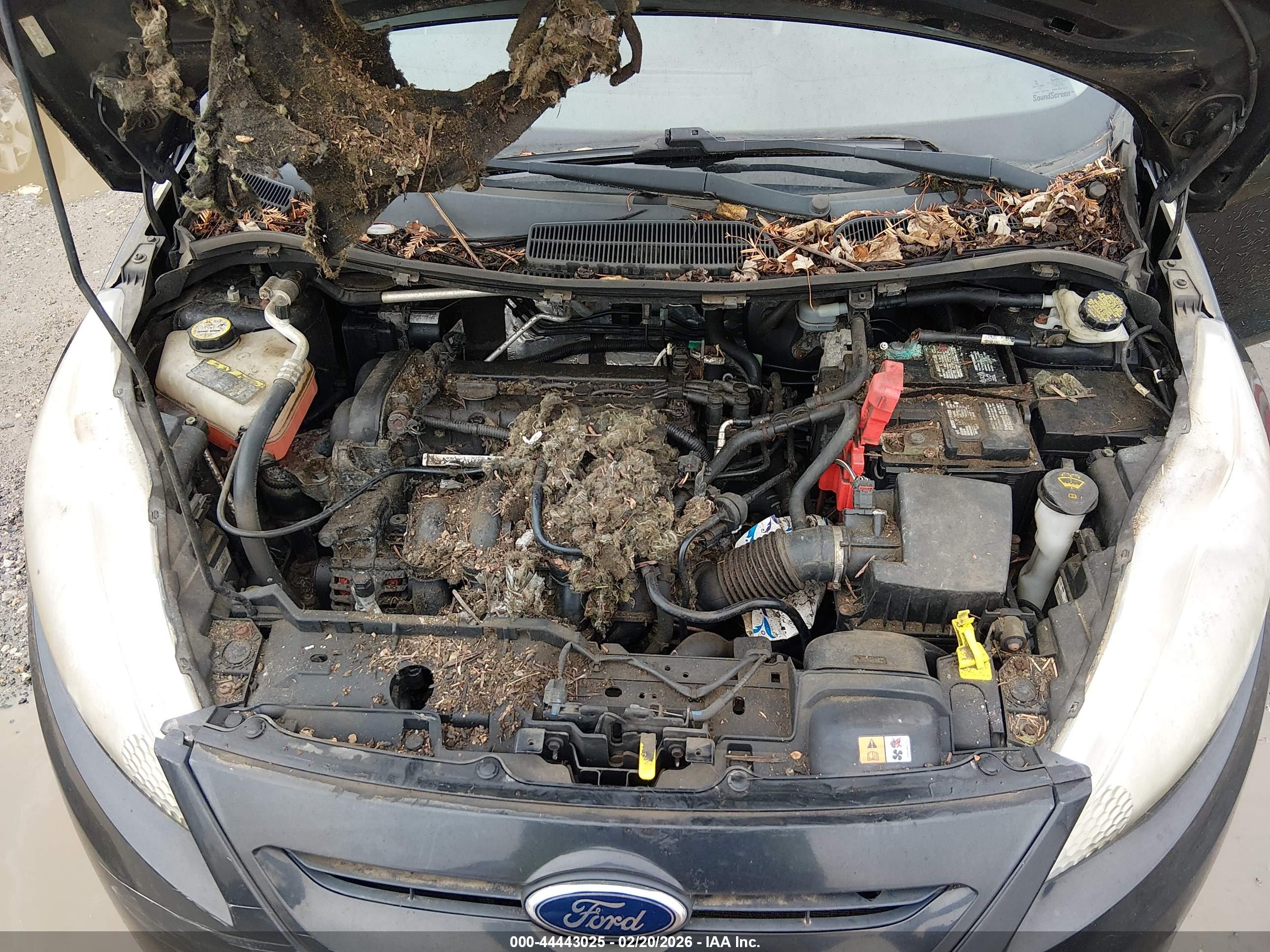 FORD FIESTA image 10