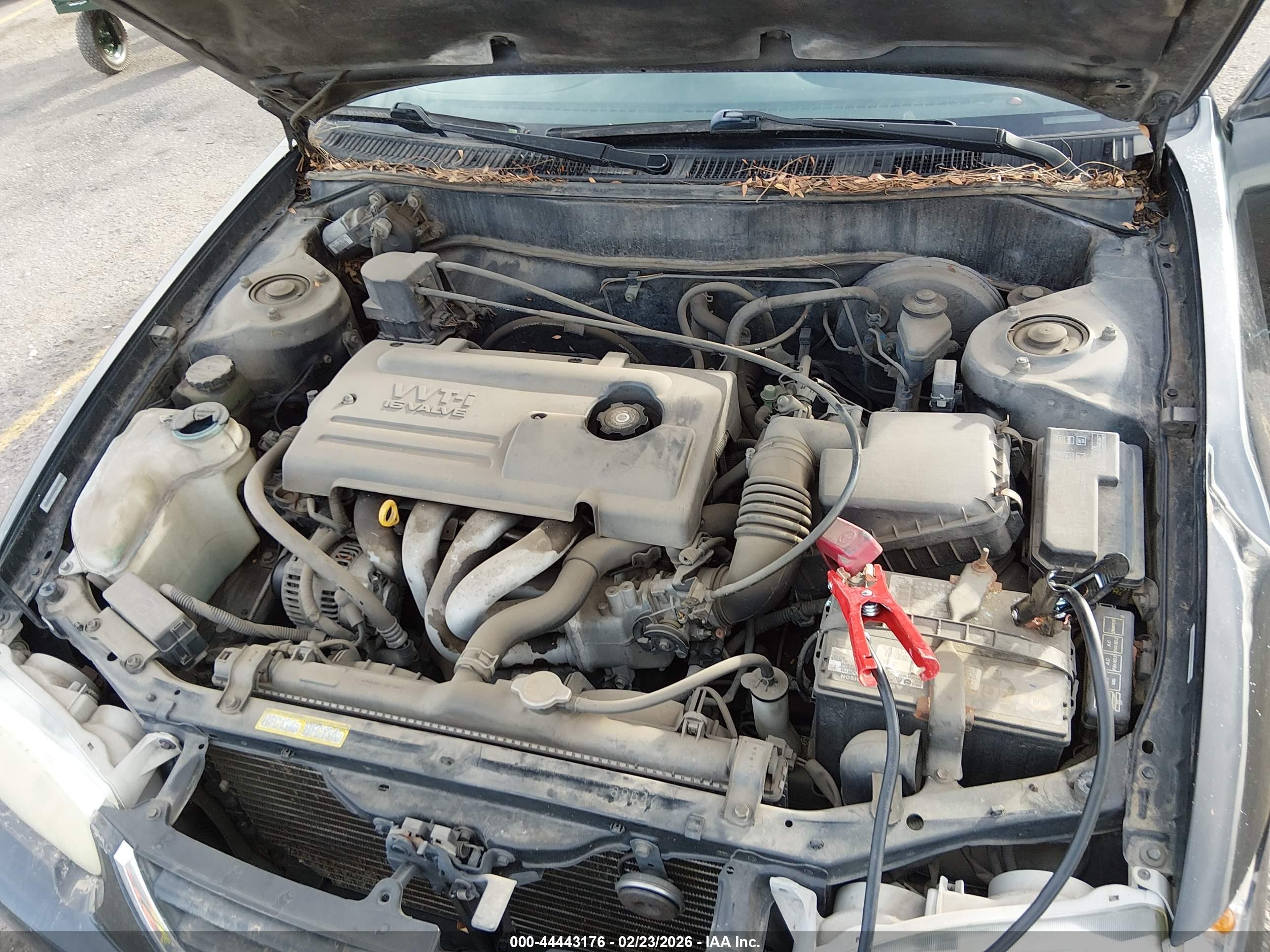 TOYOTA COROLLA image 10