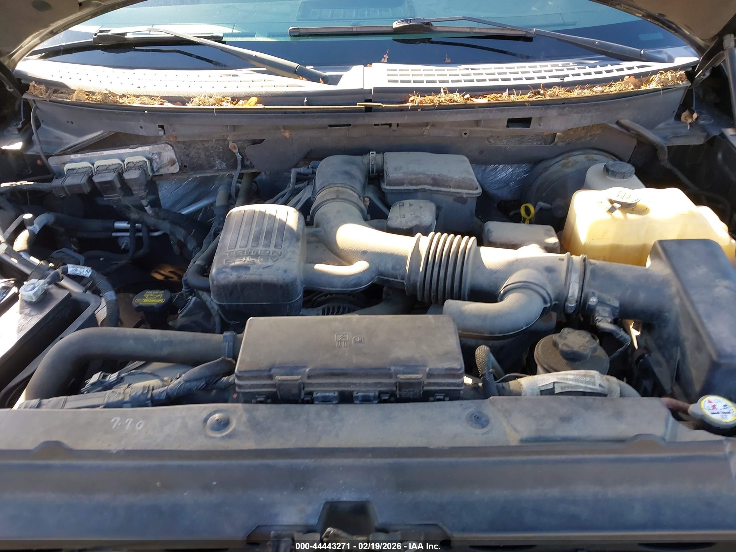 FORD F-150 image 10