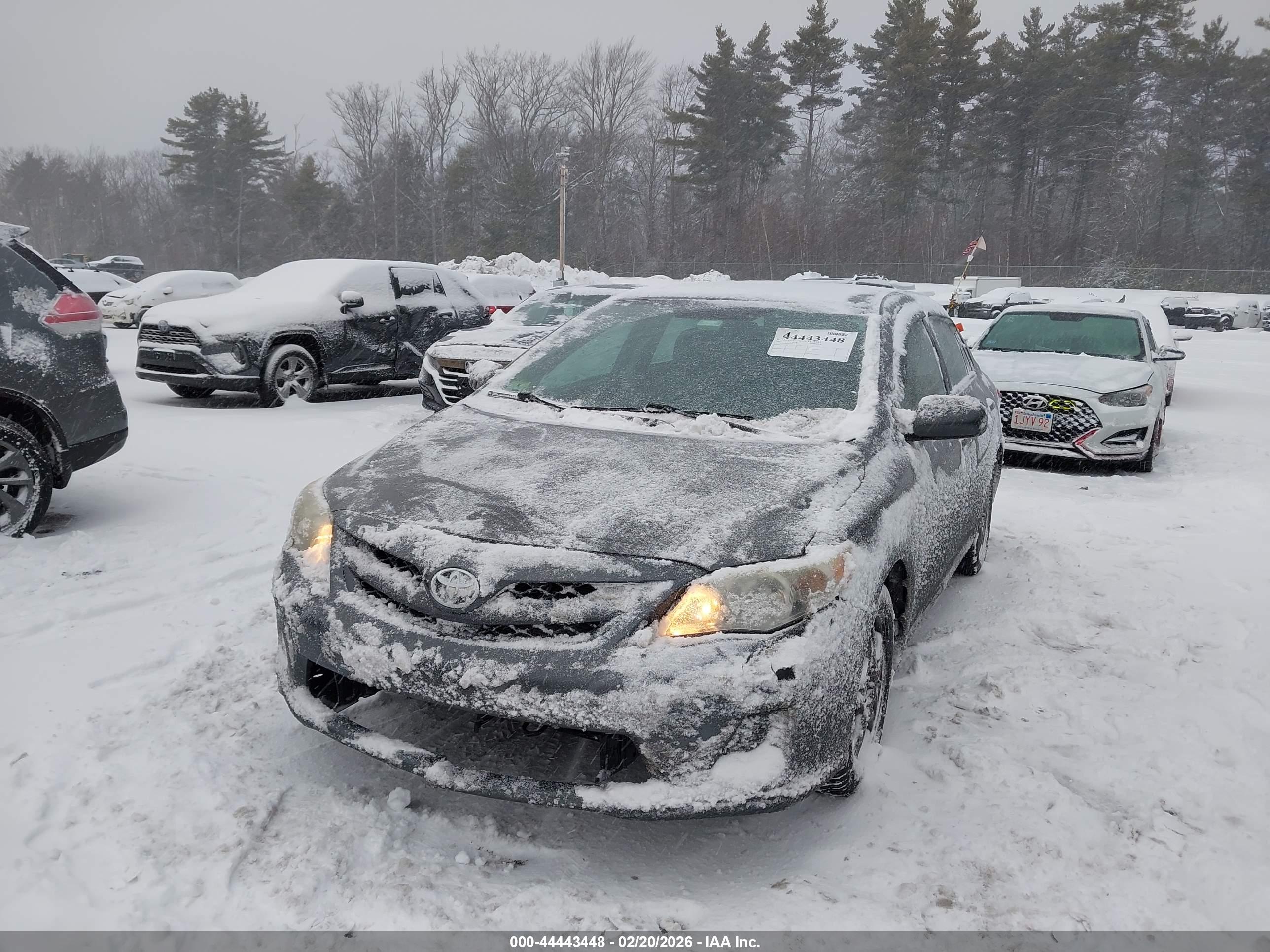 TOYOTA COROLLA image 2