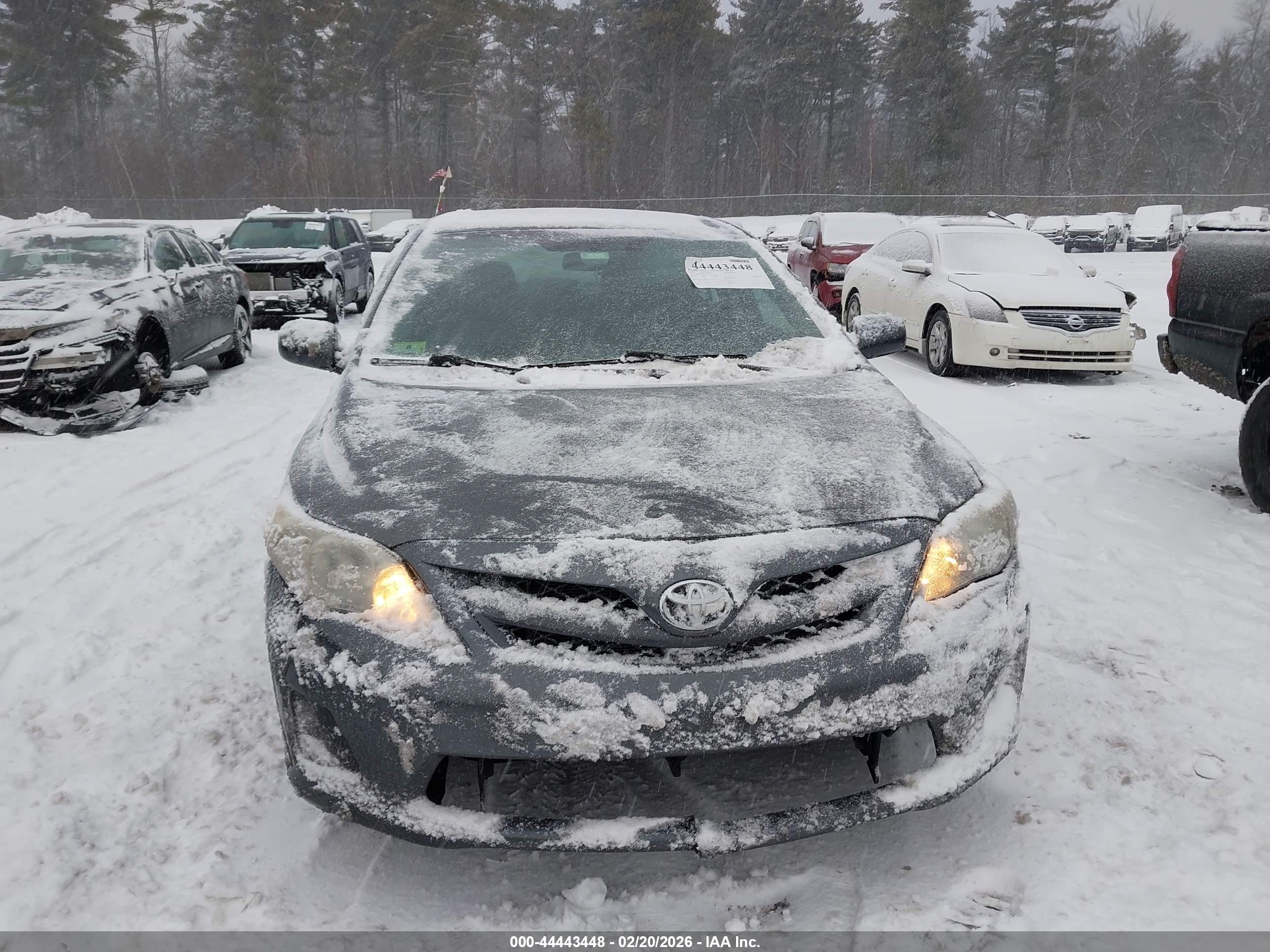 TOYOTA COROLLA image 6