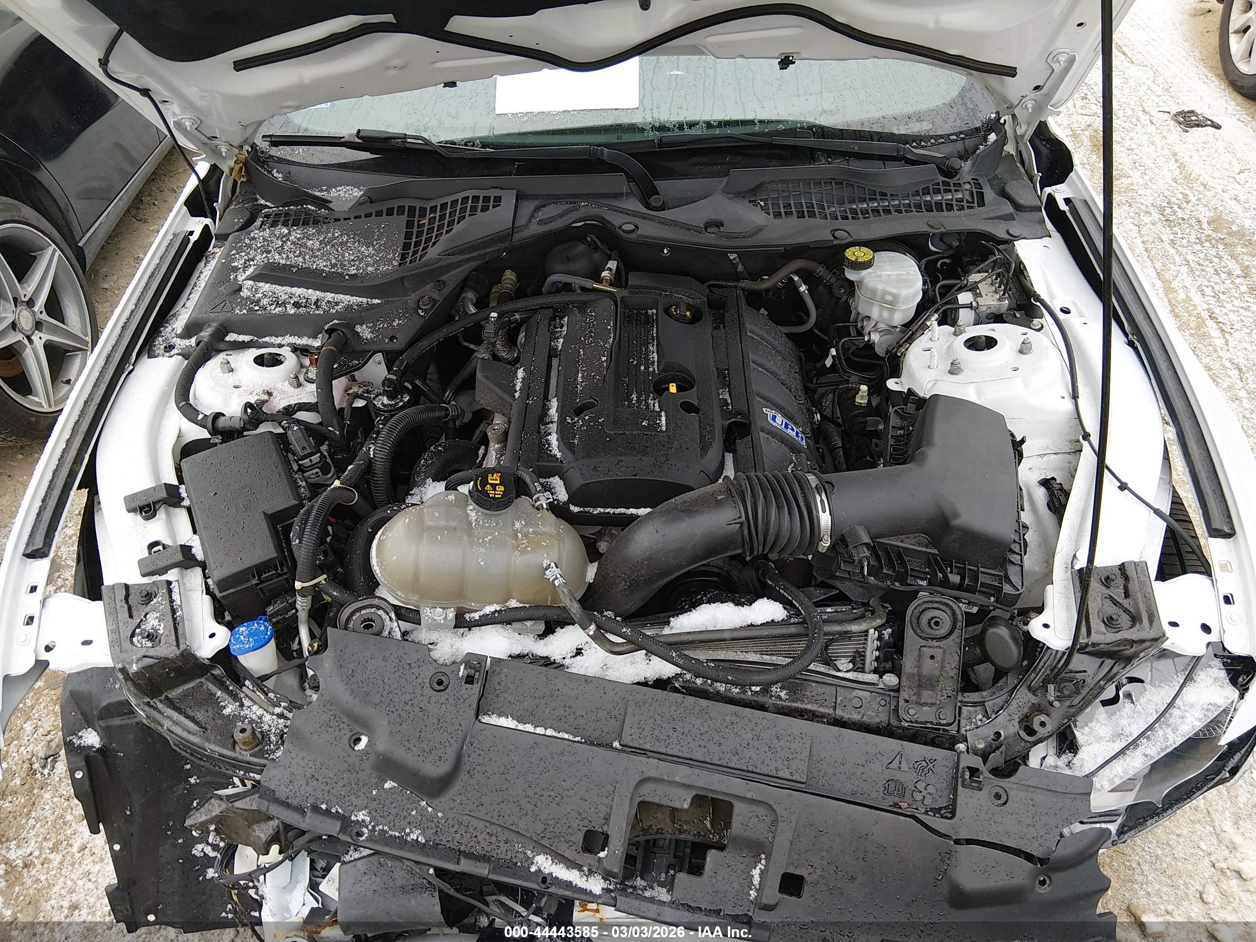 FORD MUSTANG image 10