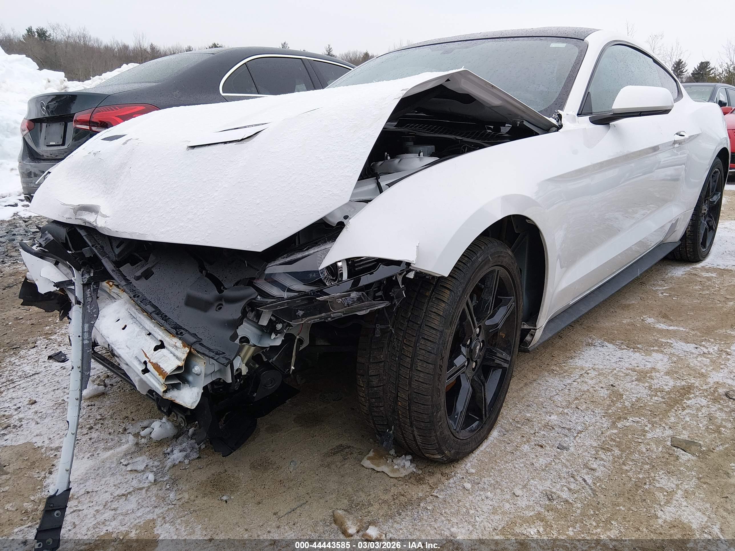 FORD MUSTANG image 6