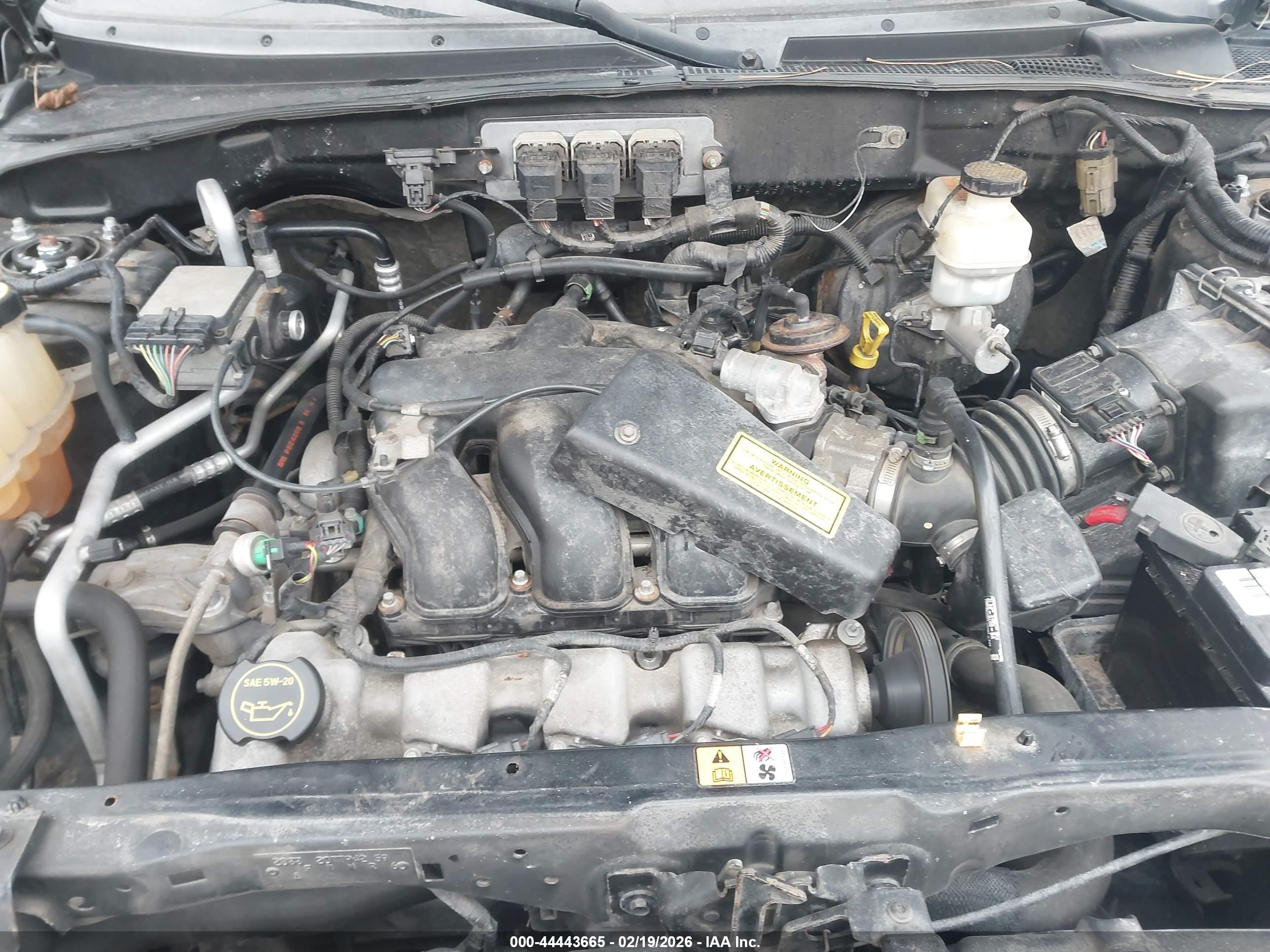 FORD ESCAPE image 10
