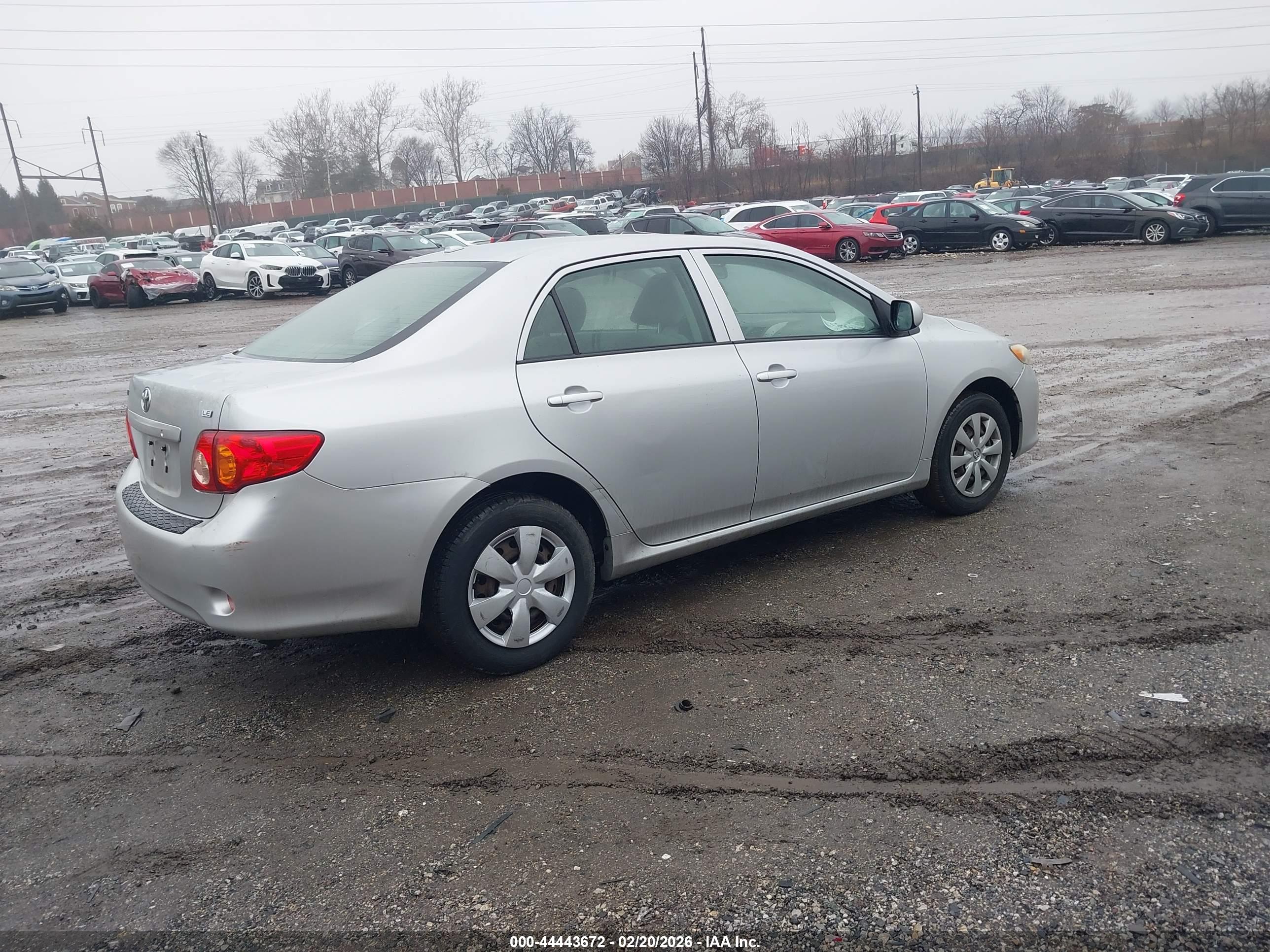 TOYOTA COROLLA image 4