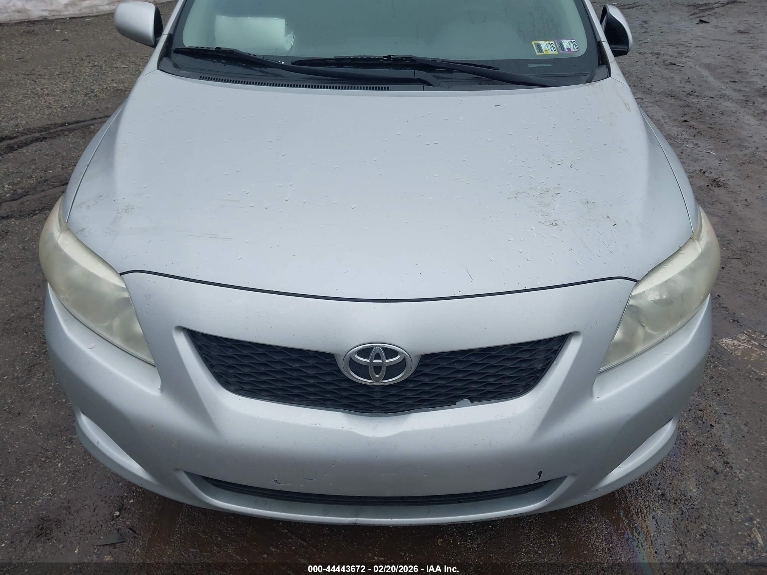 TOYOTA COROLLA image 6