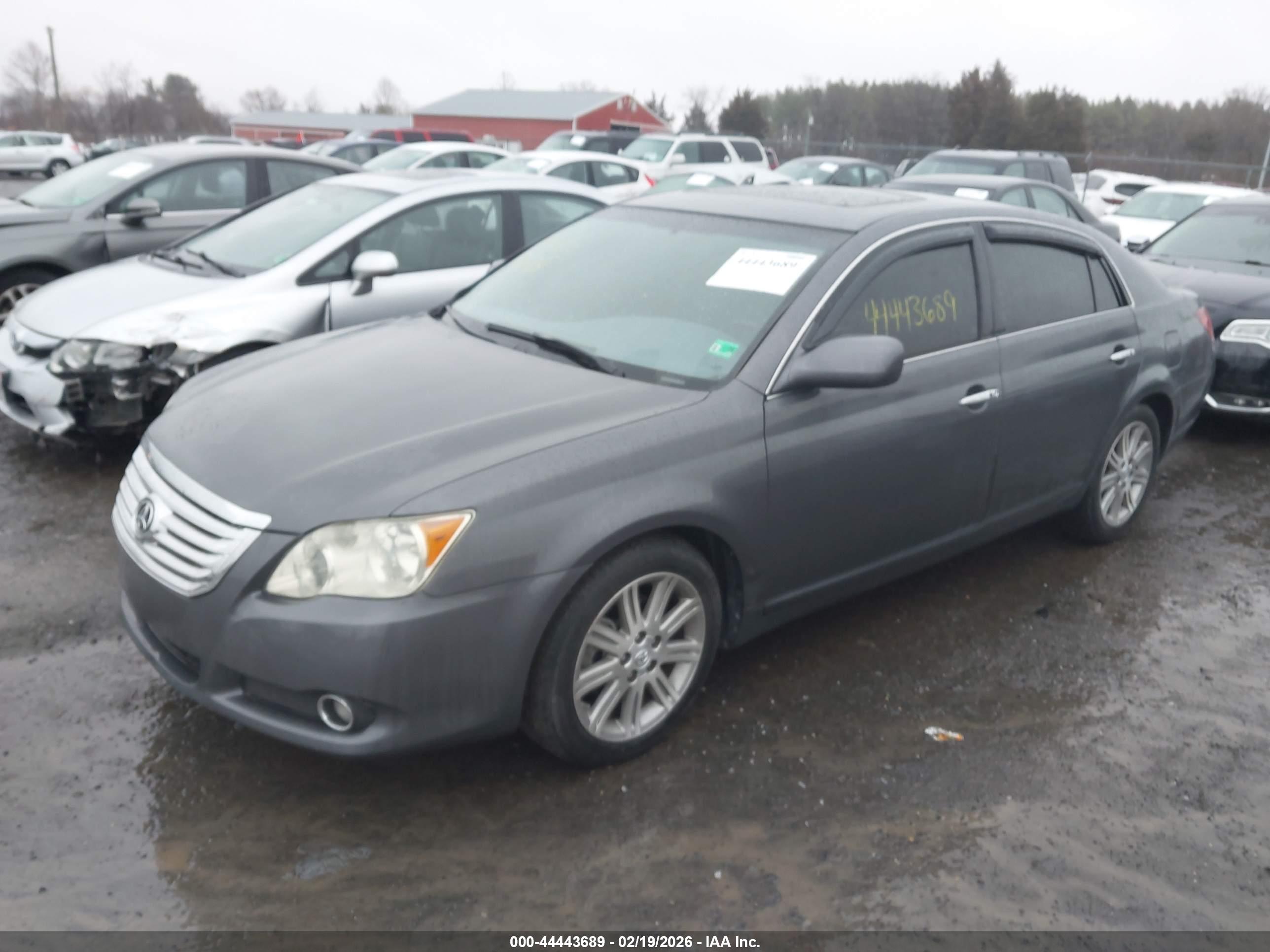 TOYOTA AVALON image 2