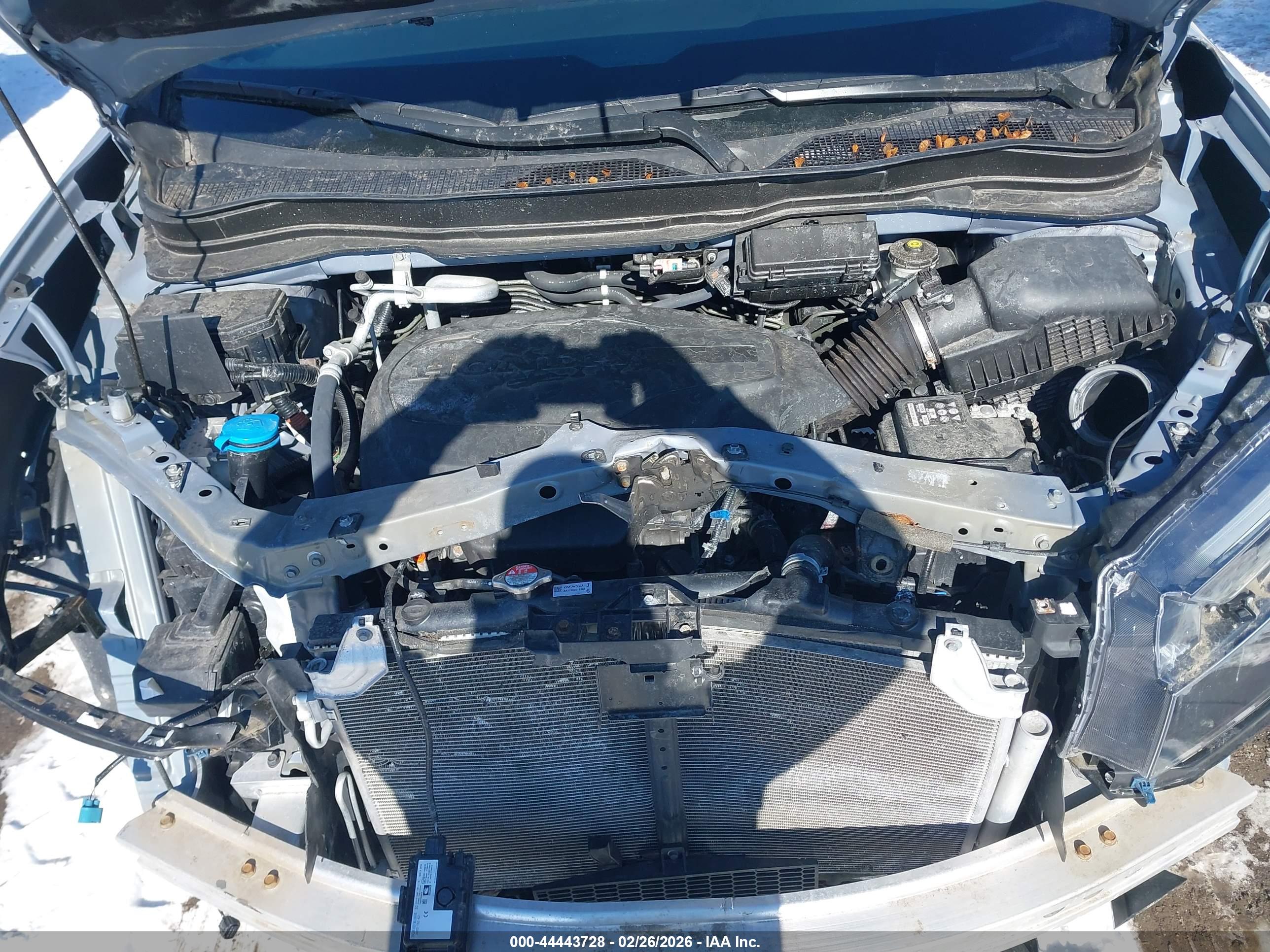 HONDA PASSPORT image 10