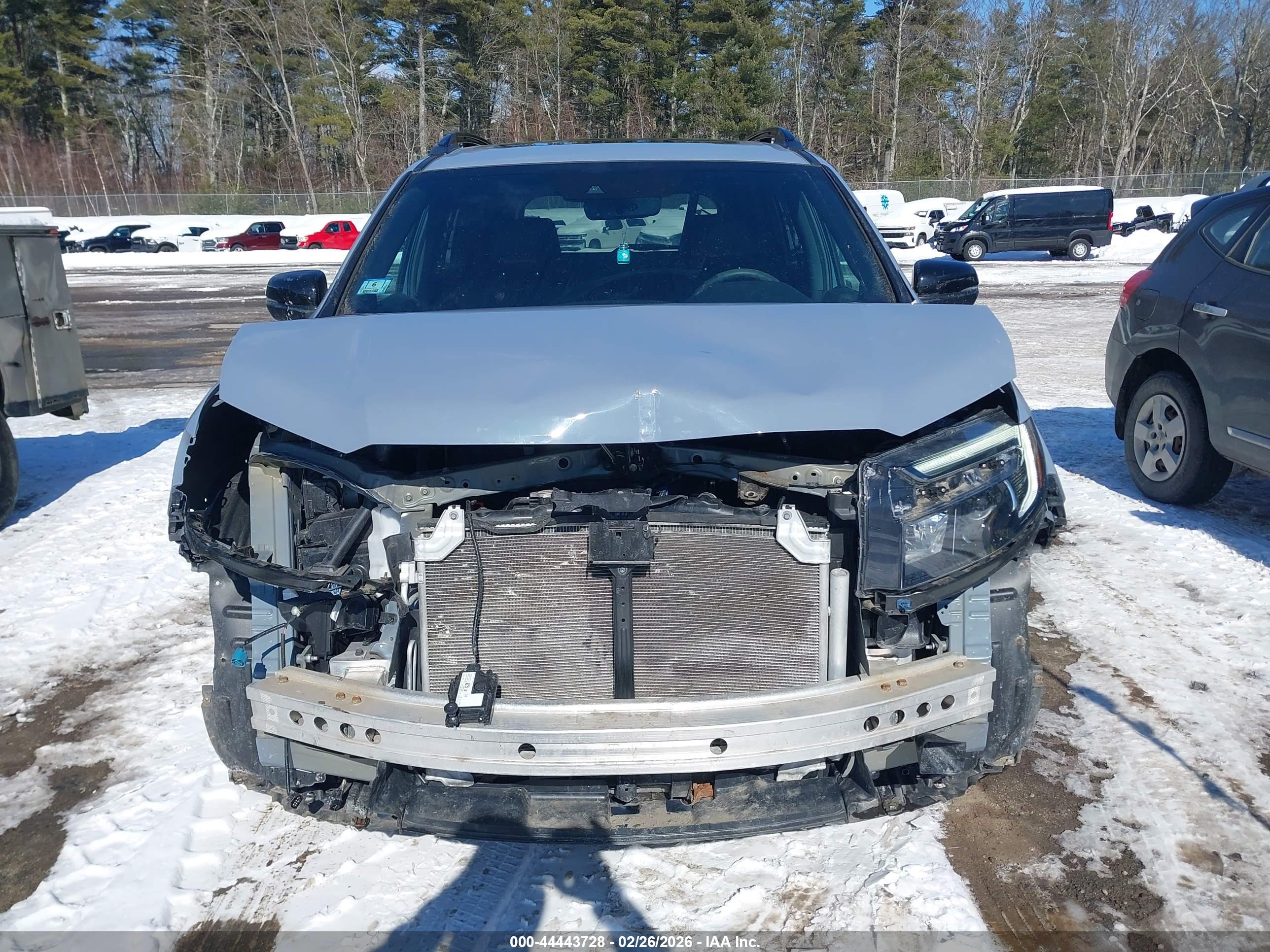 HONDA PASSPORT image 6